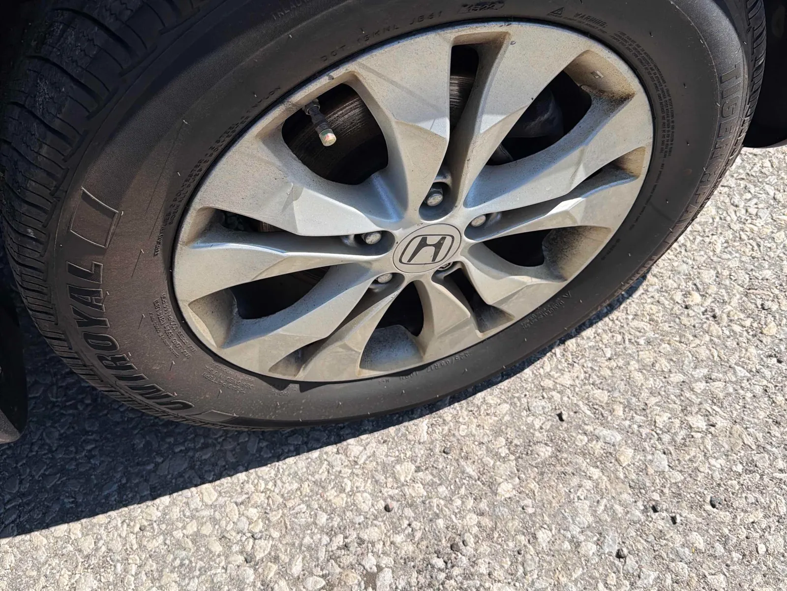 Tire