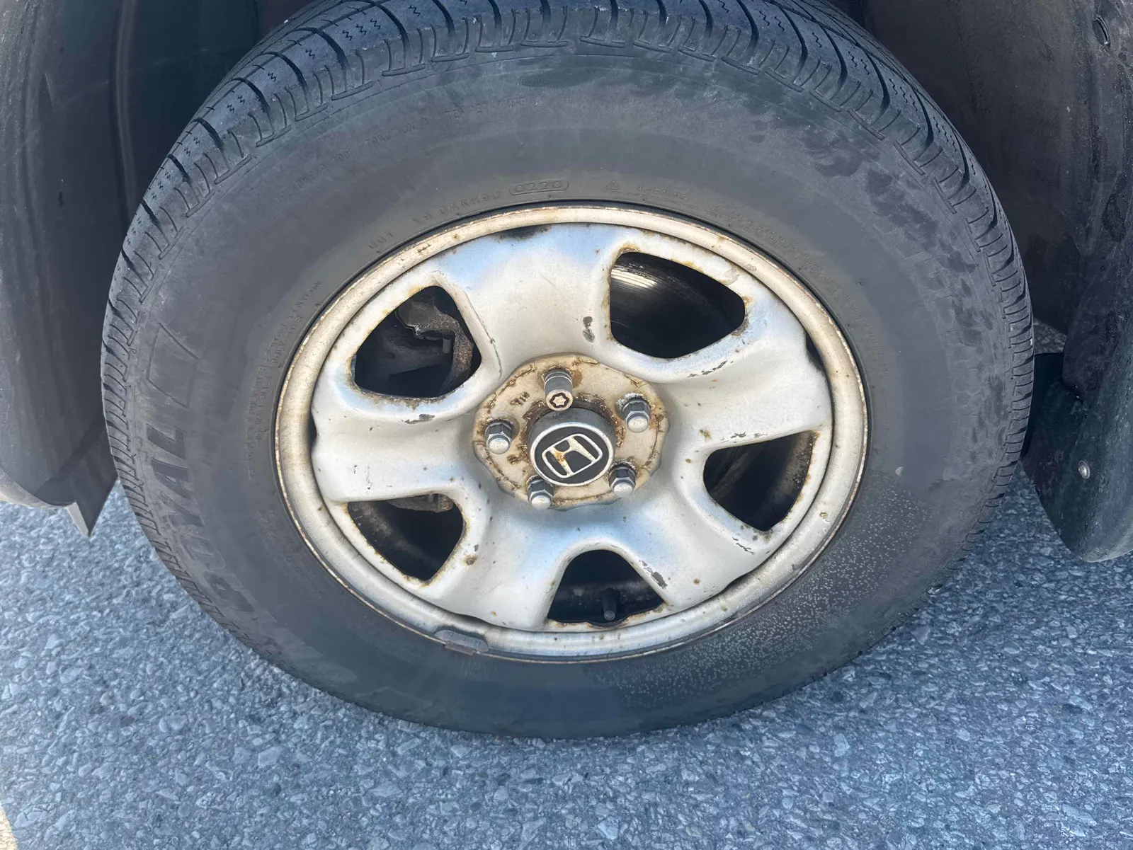 Tire