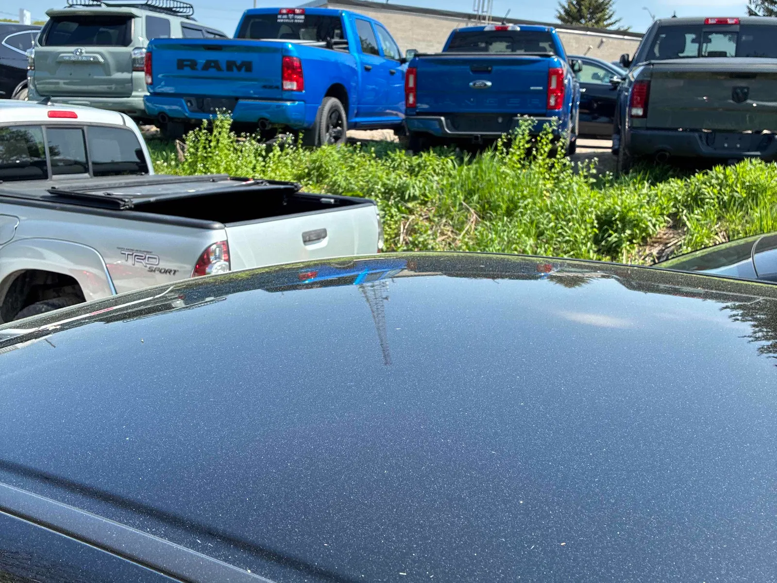 Additional Photo