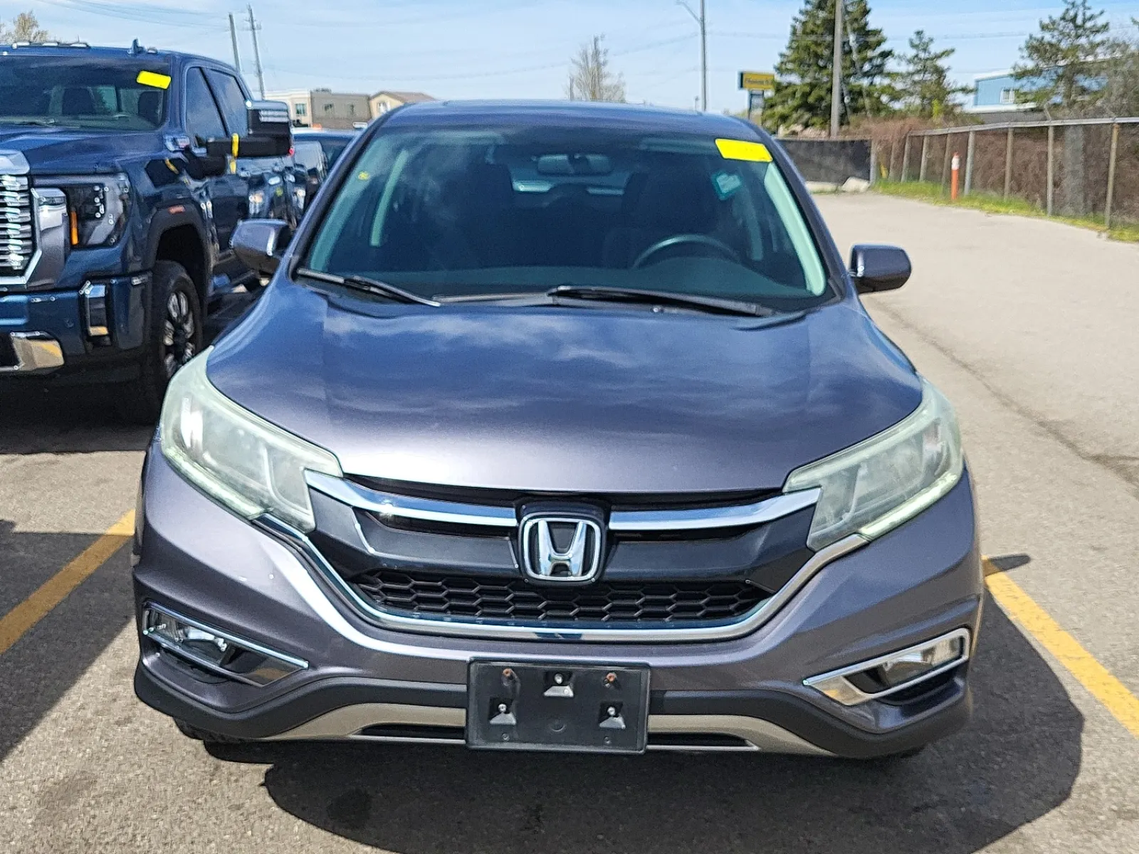Full Front Photo