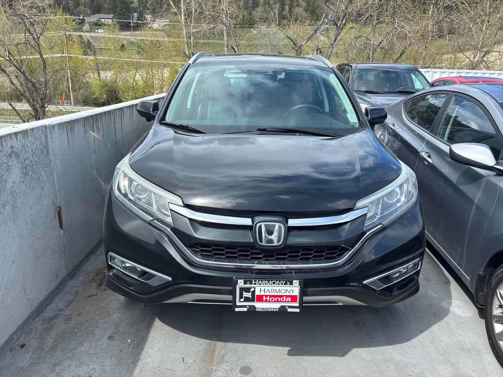 Front