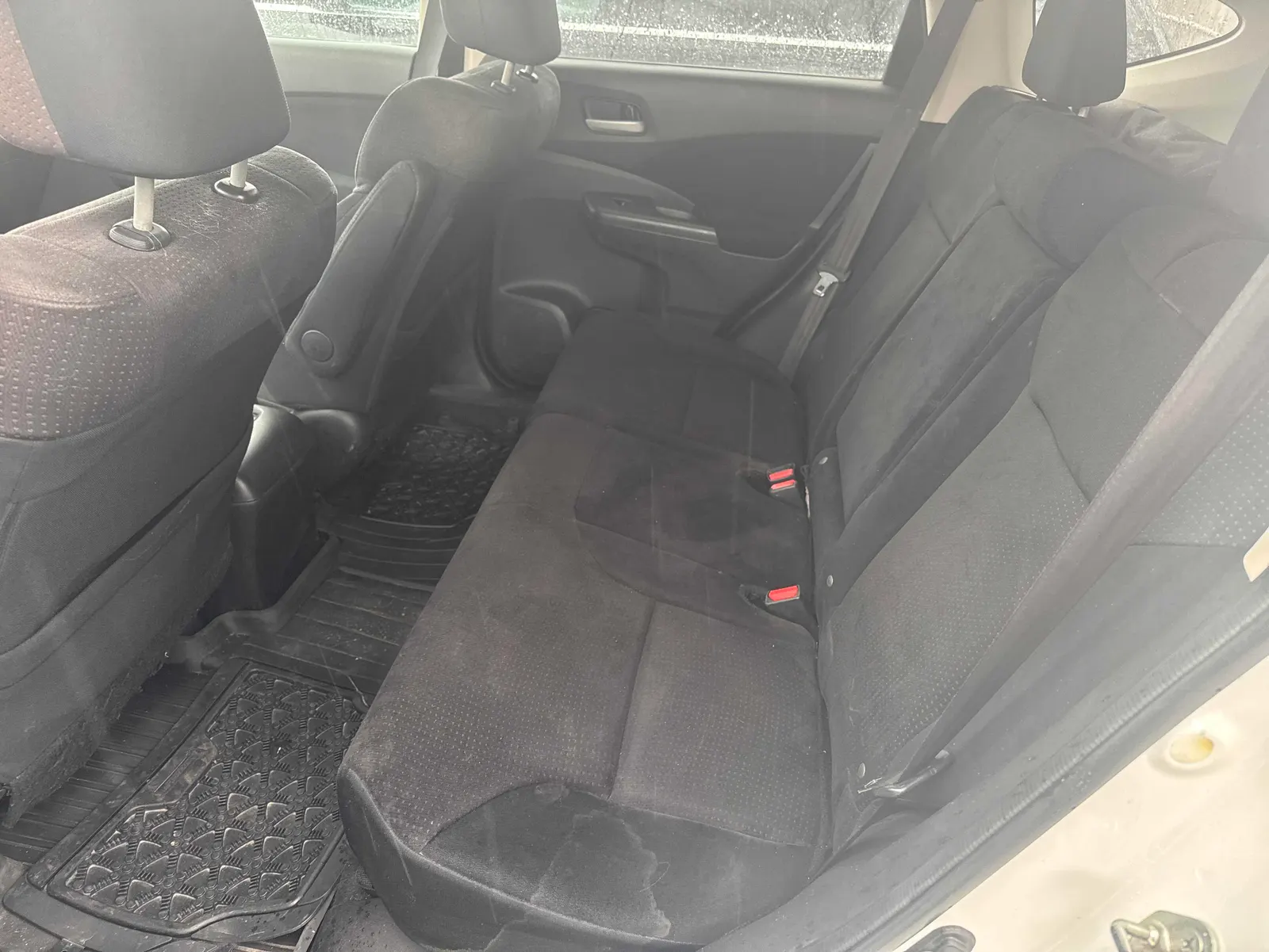 Additional Photo