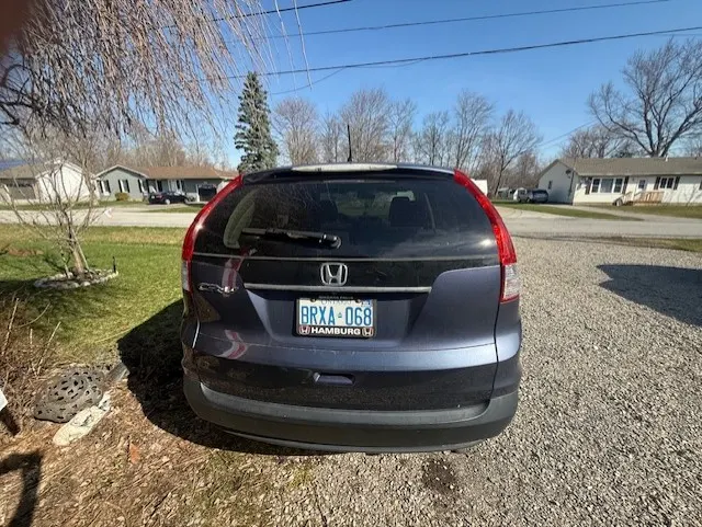 Back
