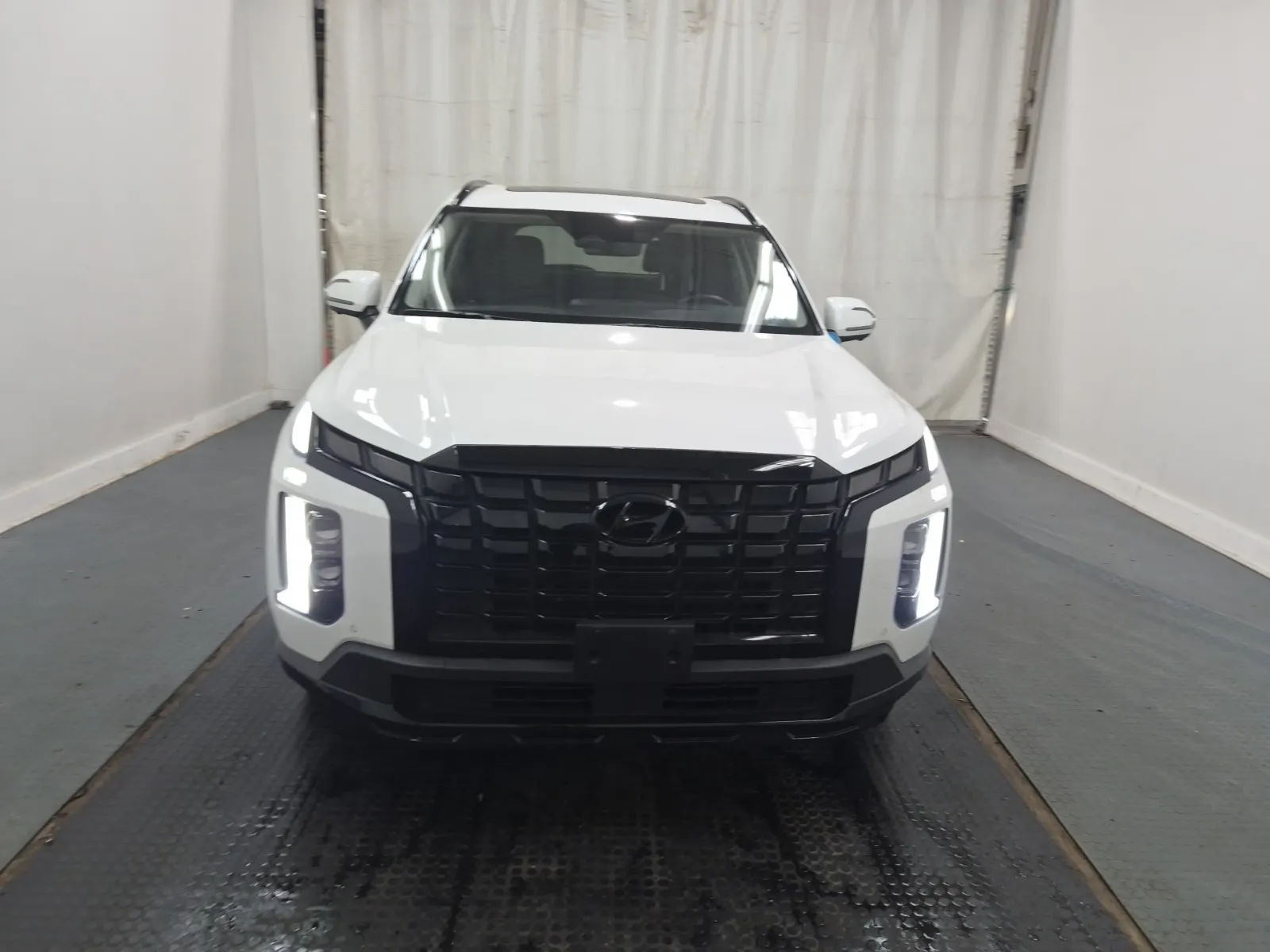 Full Front Photo