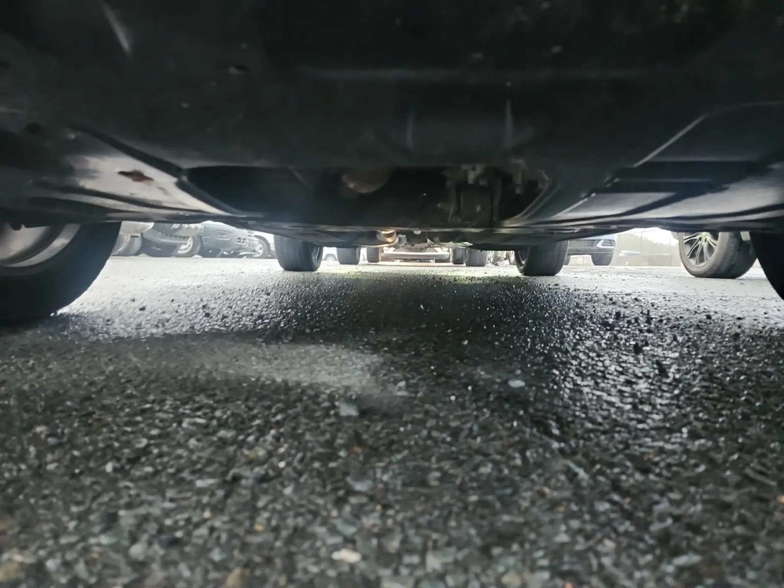 Undercarriage - Front Photo