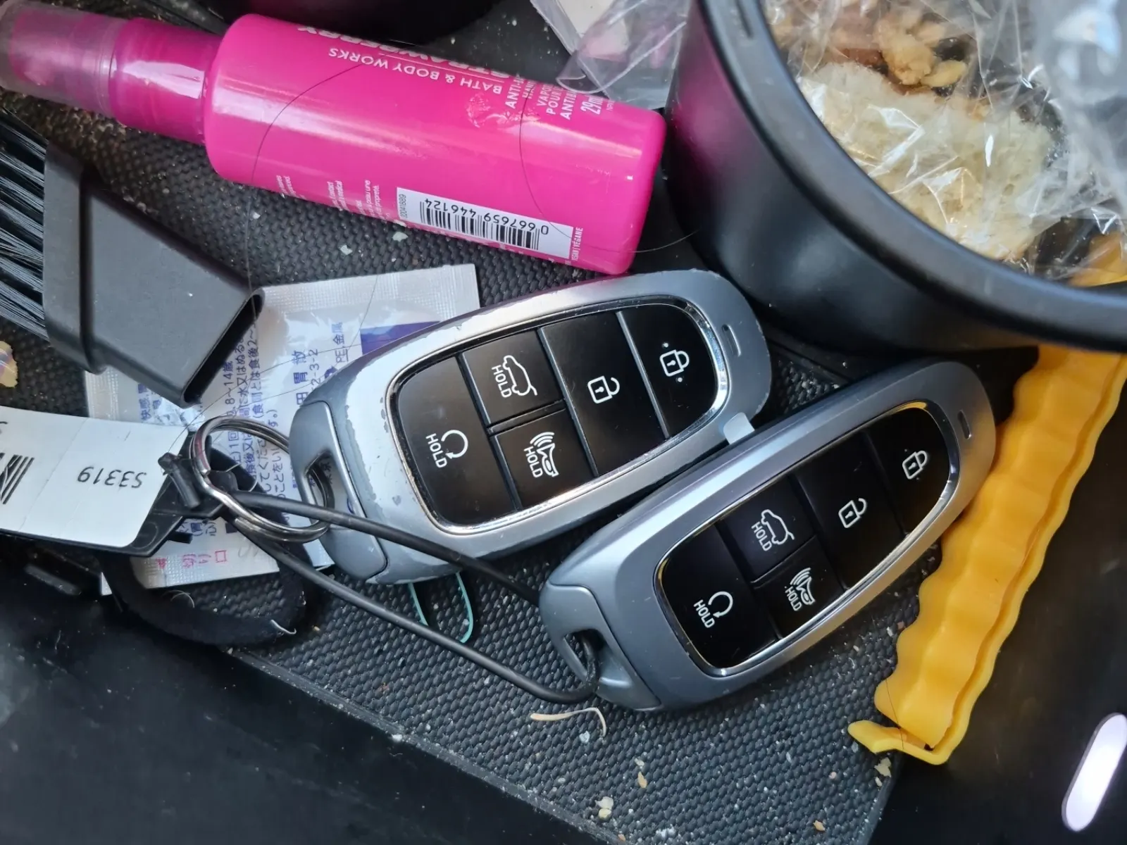 Keys/Fobs/Manual Photo