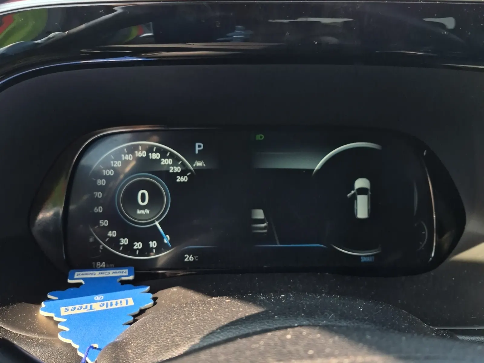 Odometer Photo