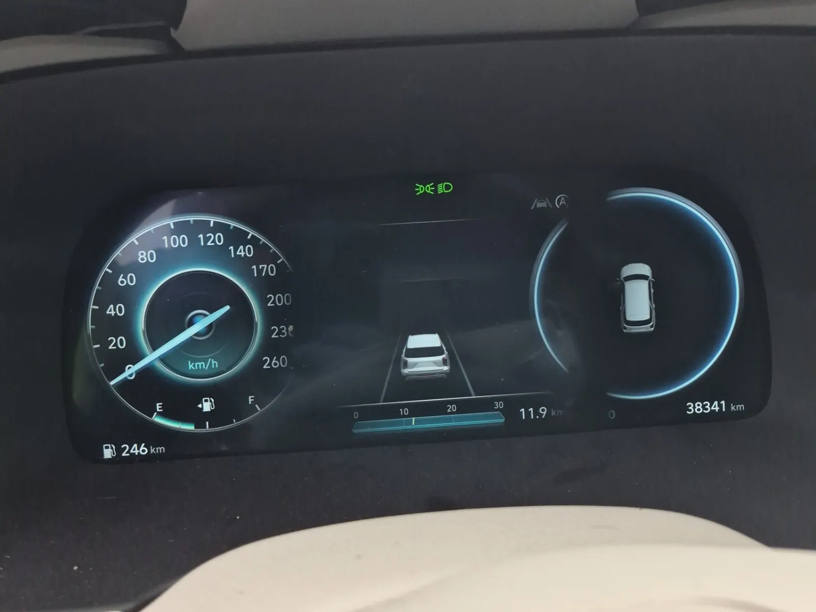 Odometer Photo