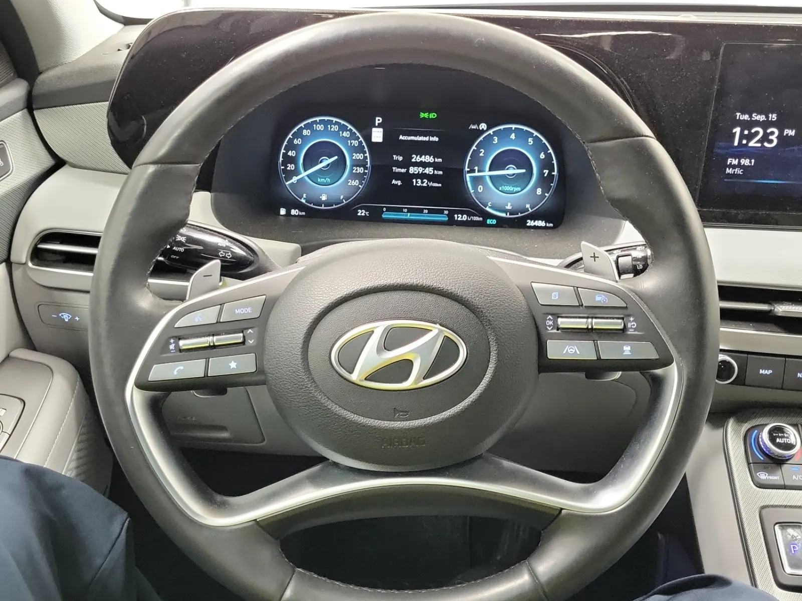 Steering Wheel
