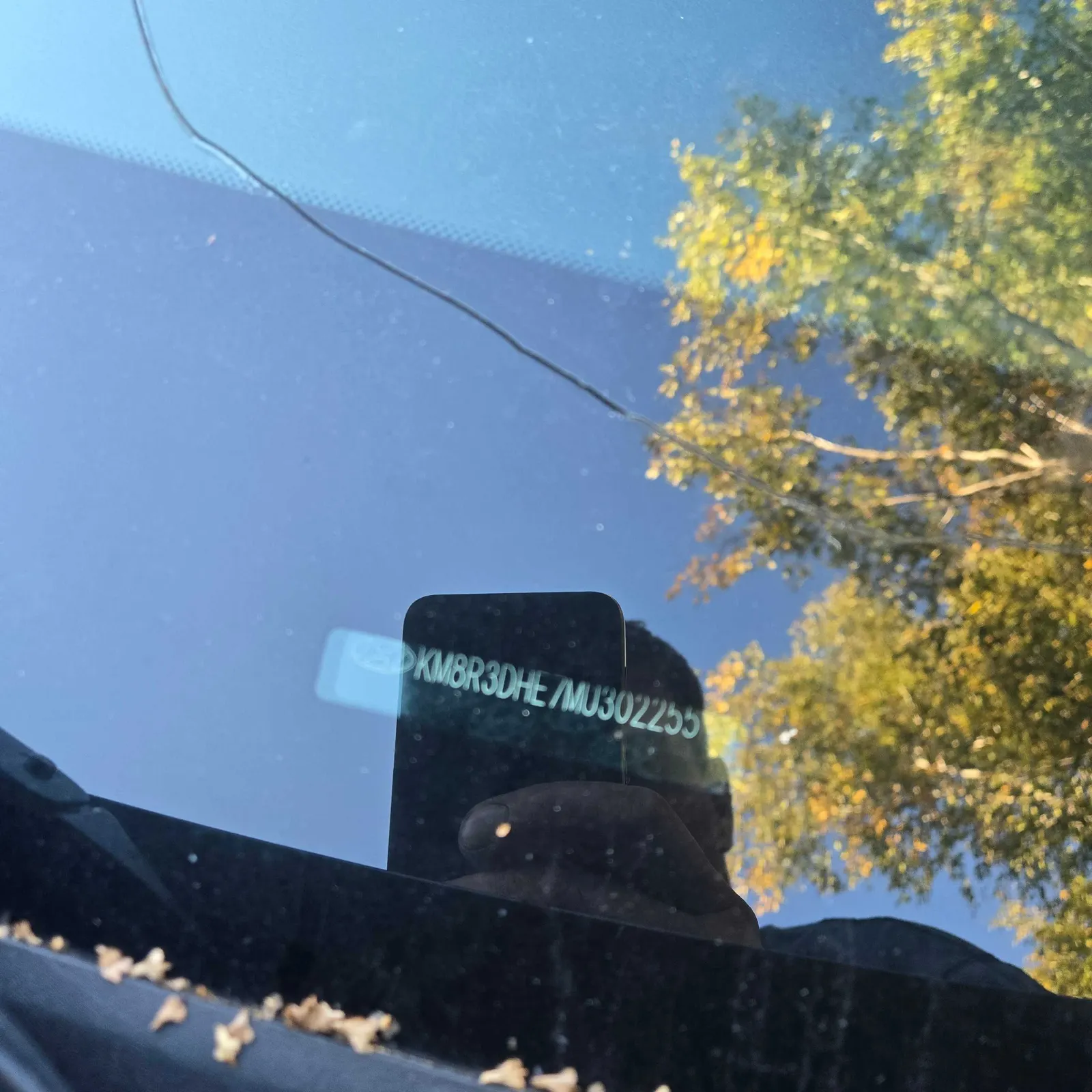 Additional Photo