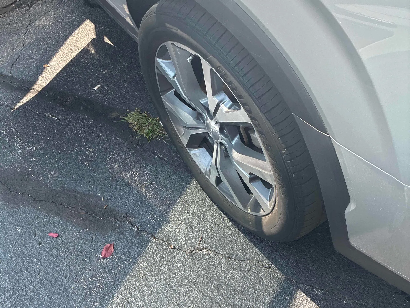 Additional Photo
