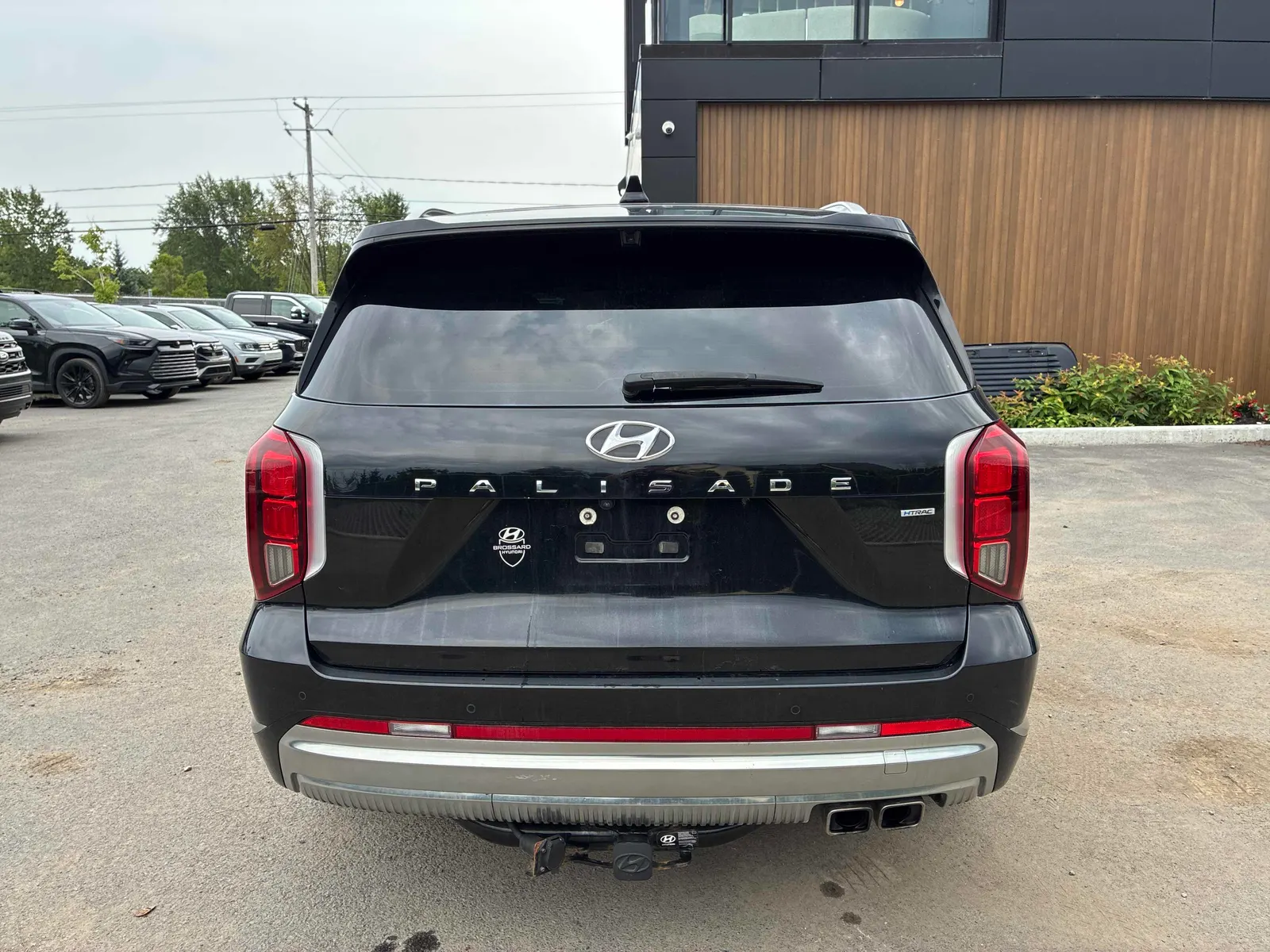 Back