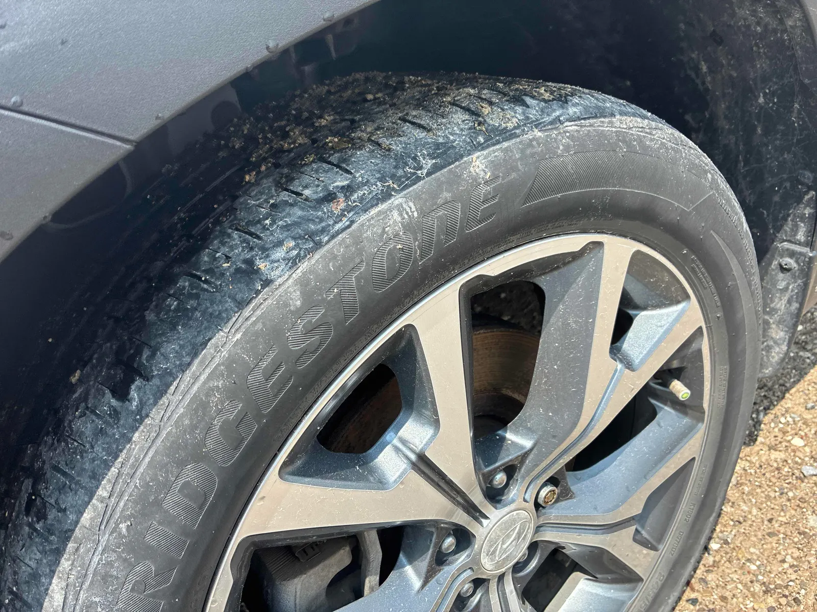 Tire
