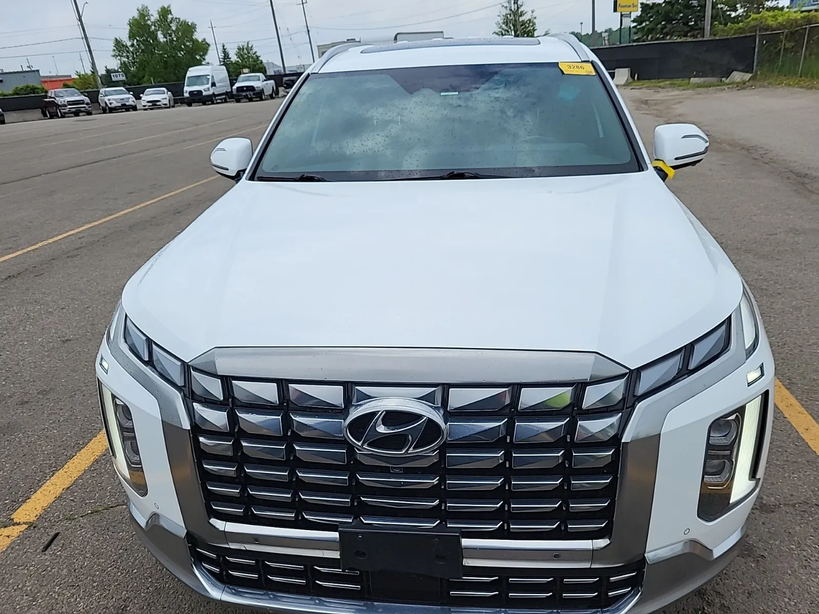 Full Front Photo
