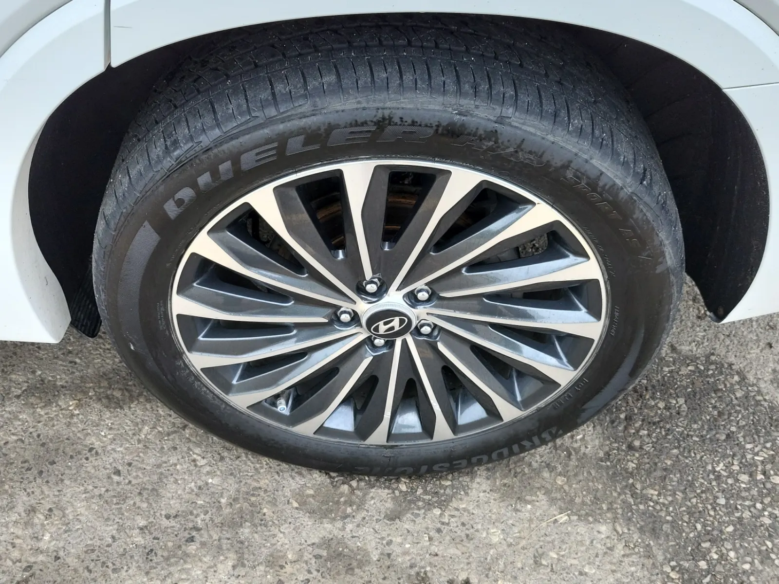 Left Rear Wheel/Tire Photo