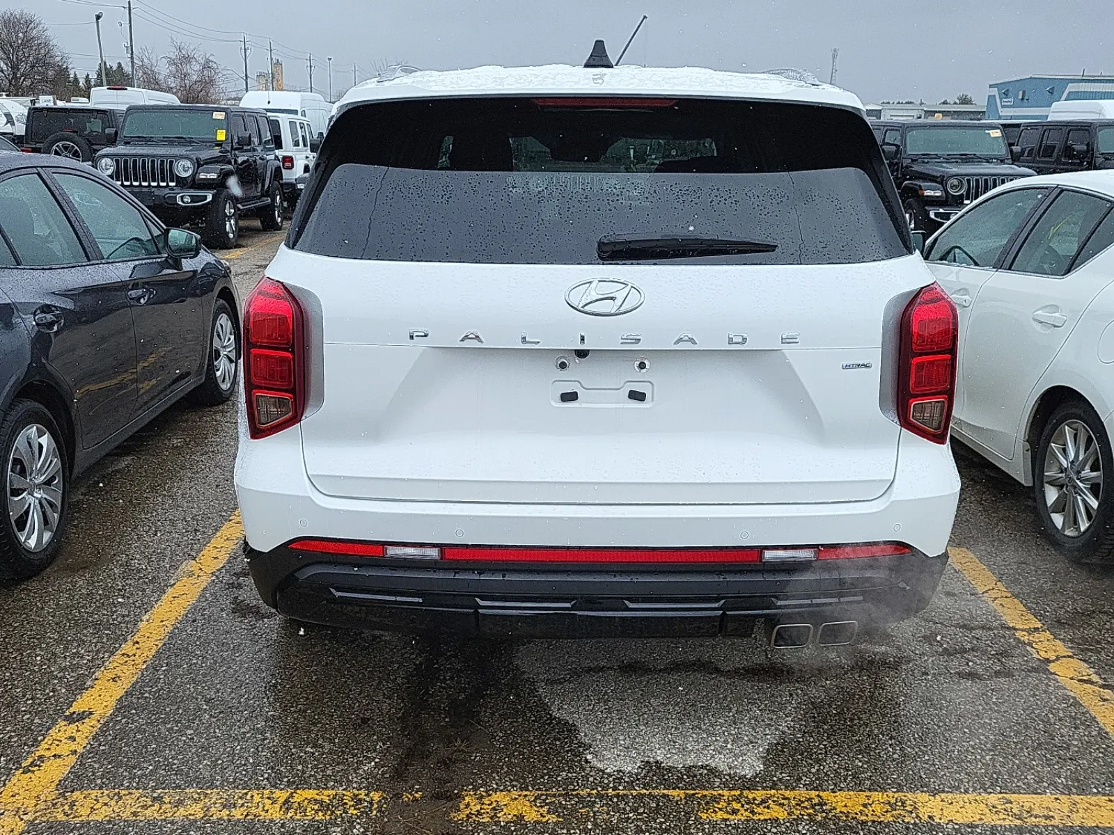 Full Rear Photo