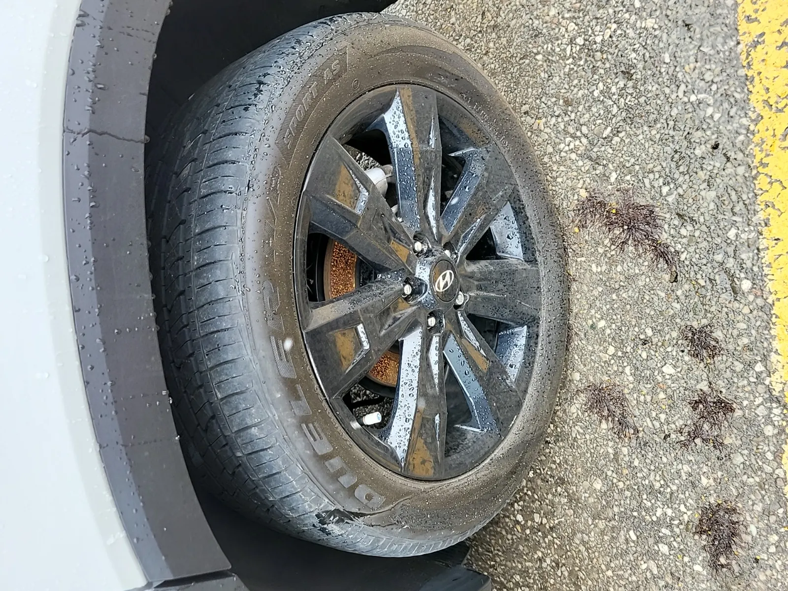 Left Rear Wheel/Tire Photo