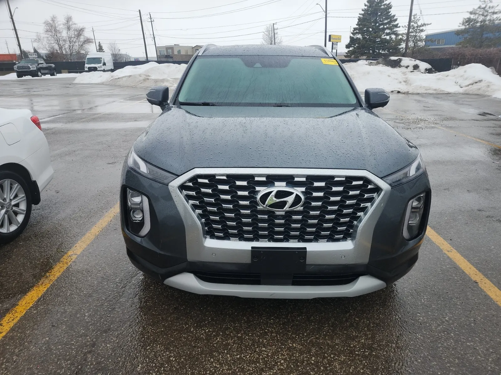 Full Front Photo