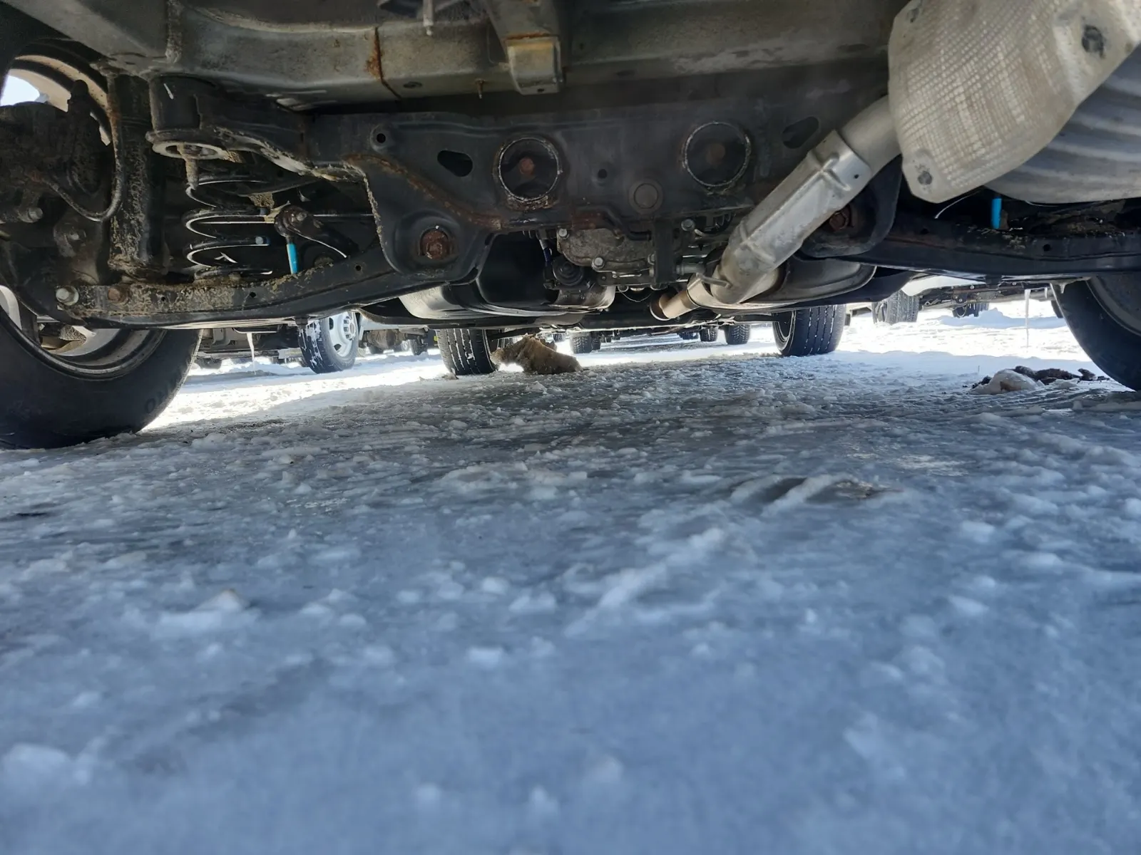 Undercarriage - Rear Photo