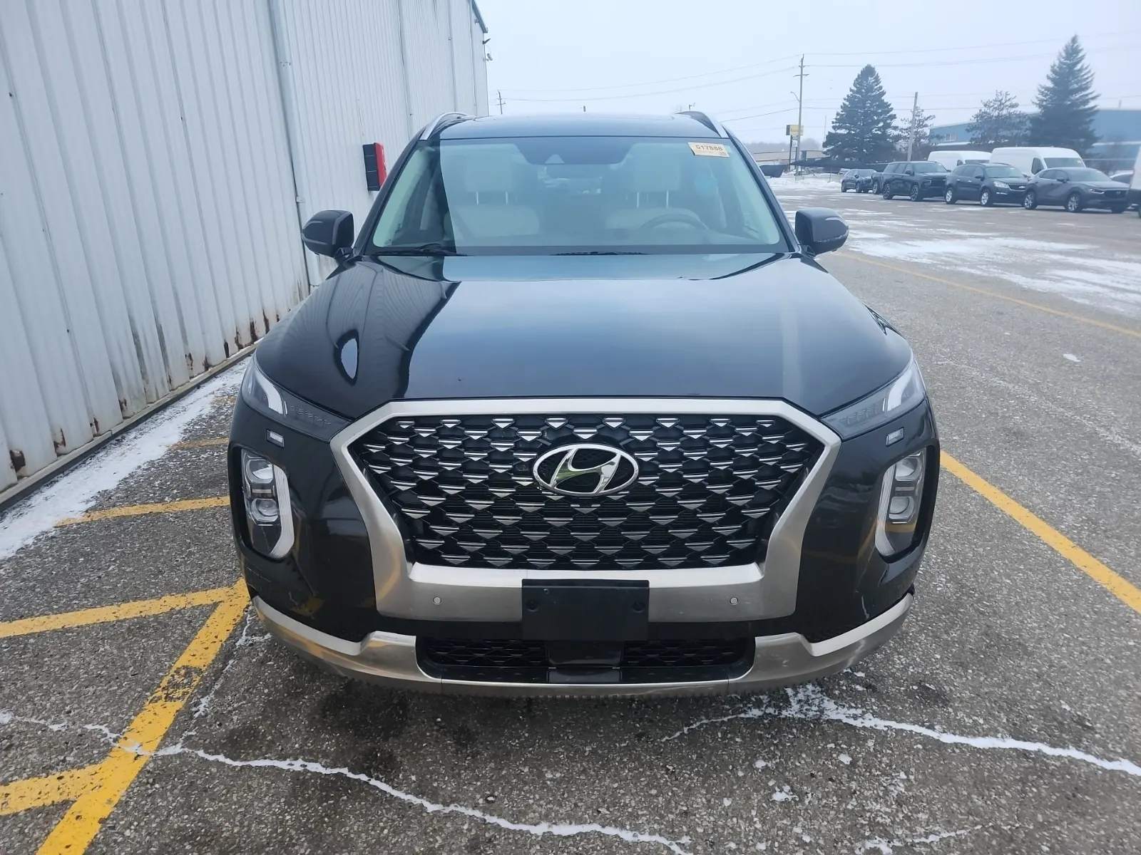 Full Front Photo
