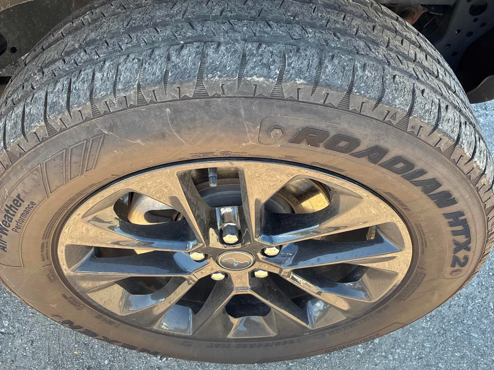 Tire
