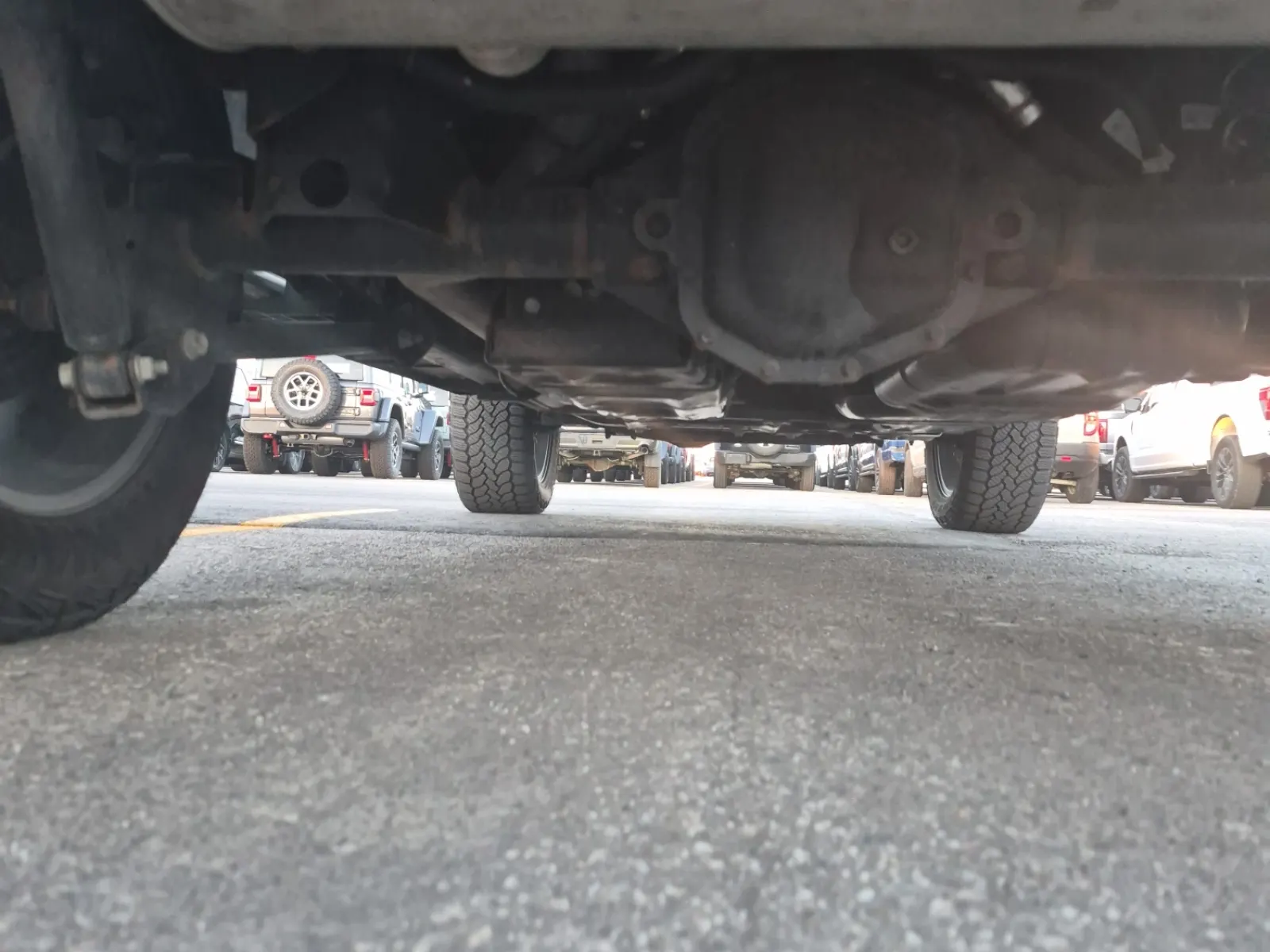 Undercarriage - Rear Photo