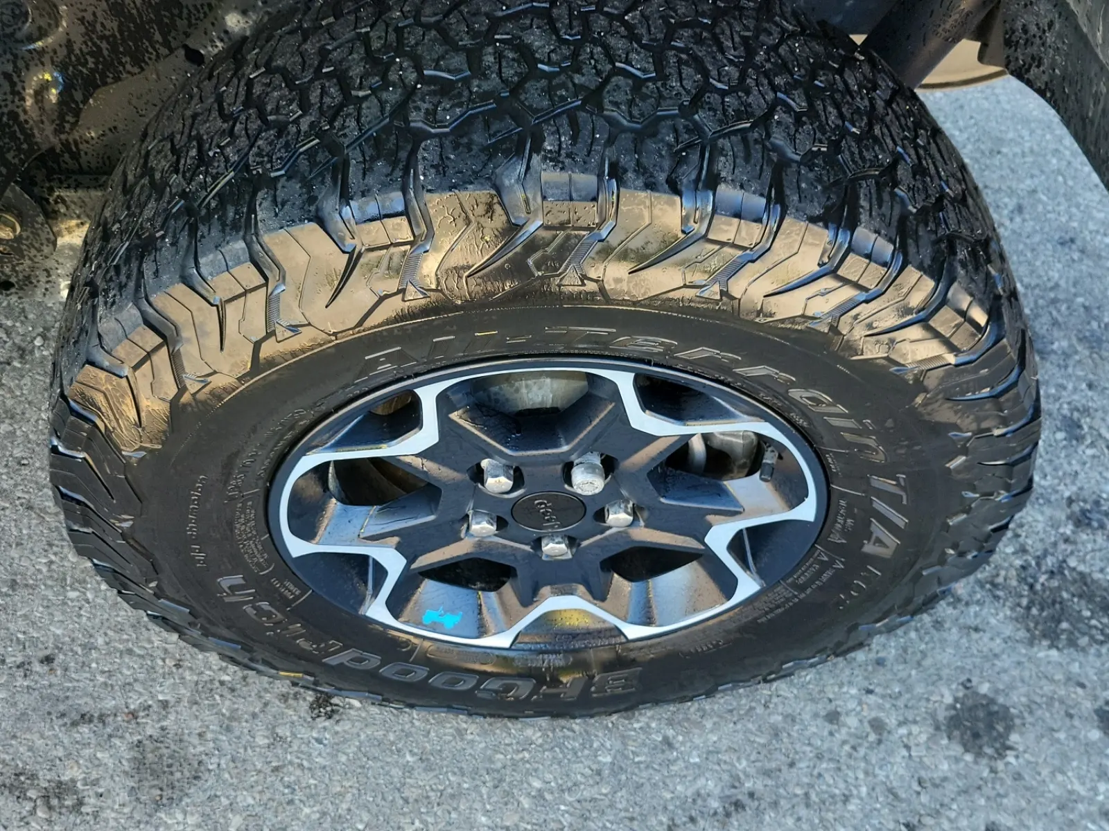 Left Rear Wheel/Tire Photo