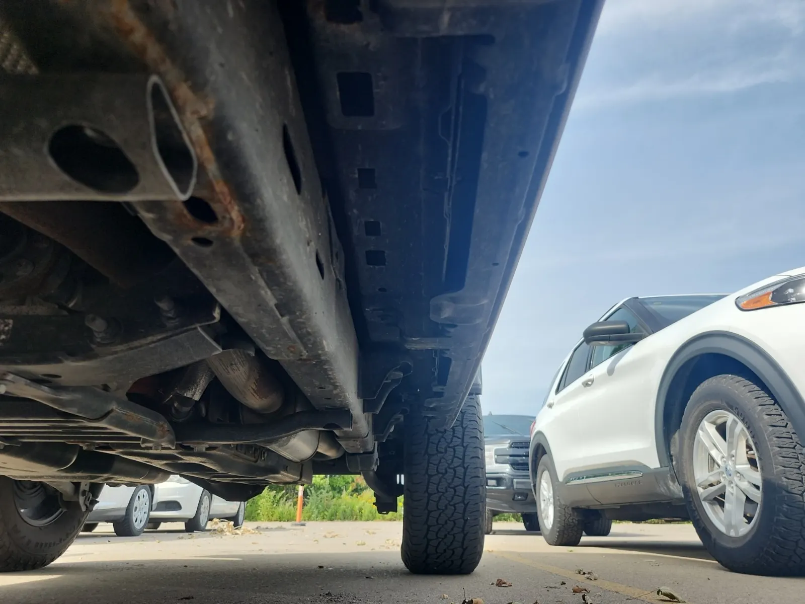 Undercarriage - Driver Photo