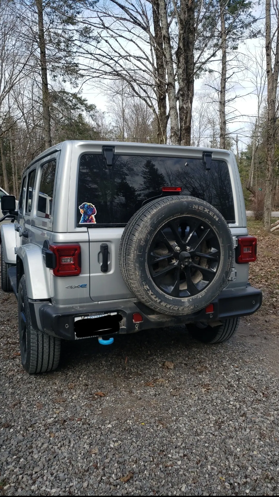 Back