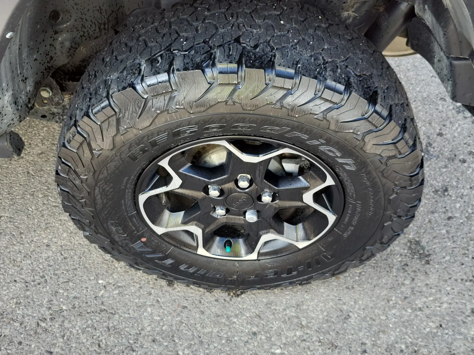 Left Rear Wheel/Tire Photo