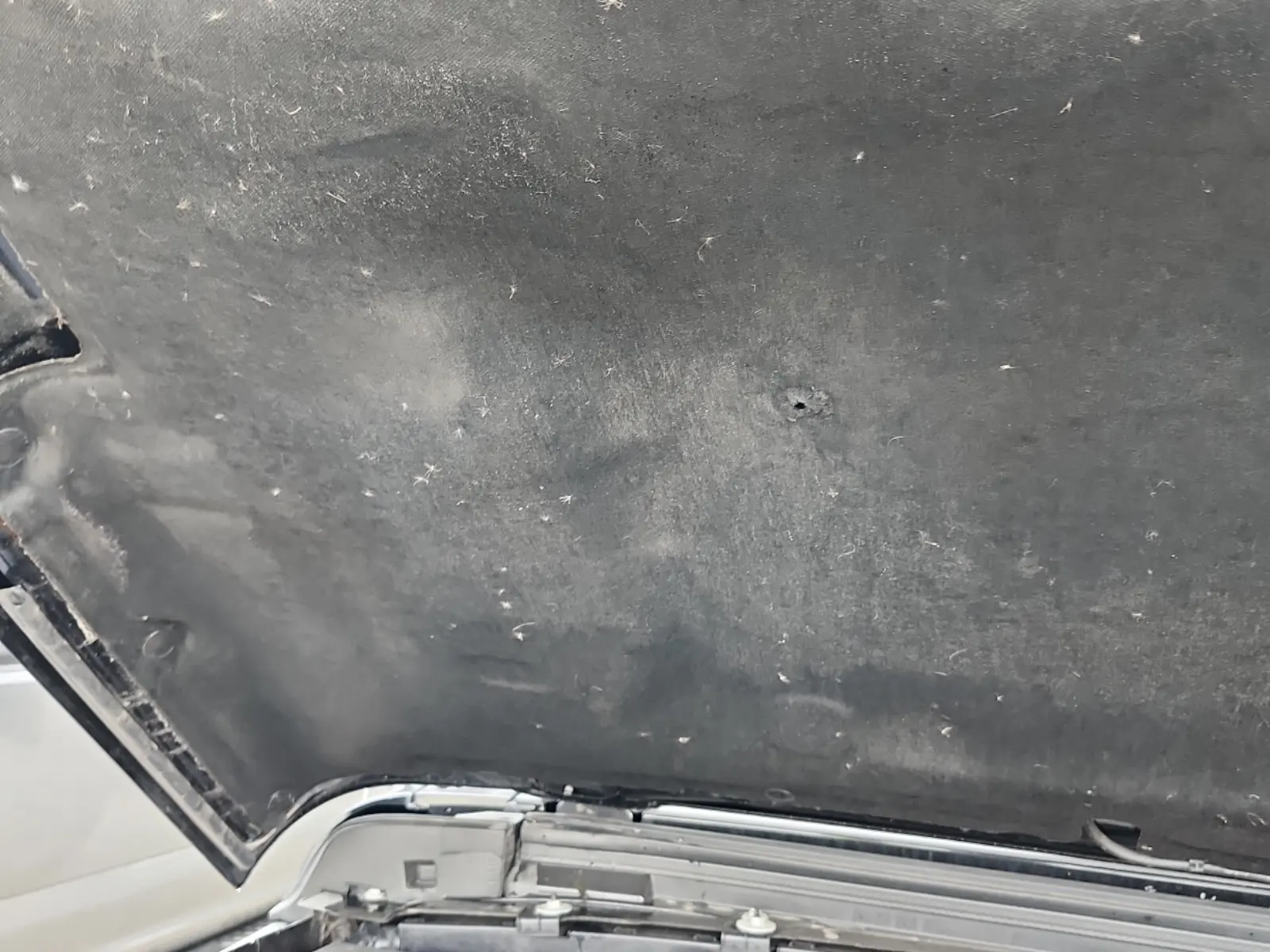 Emission Sticker Photo