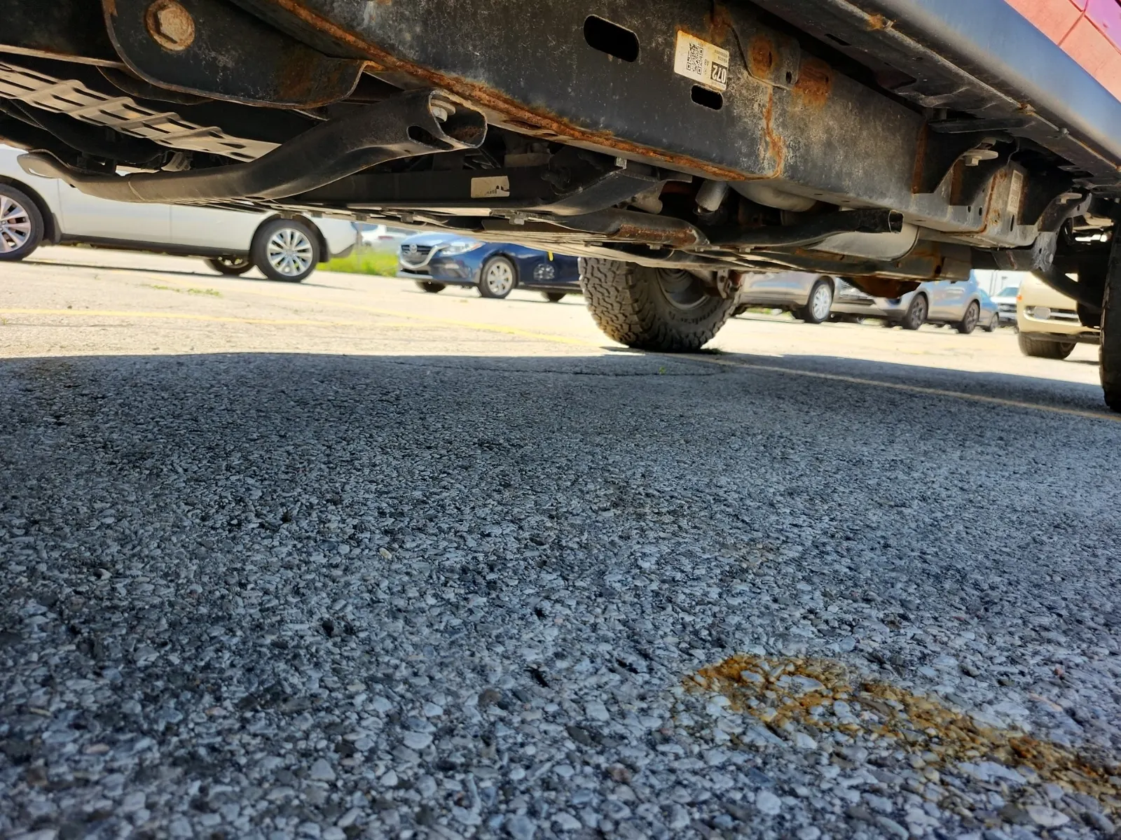 Undercarriage - Driver Photo