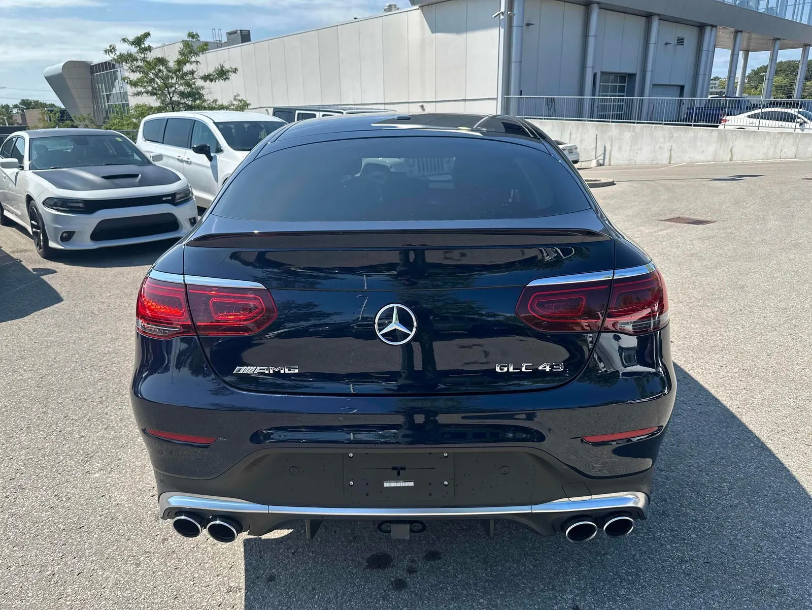 Back