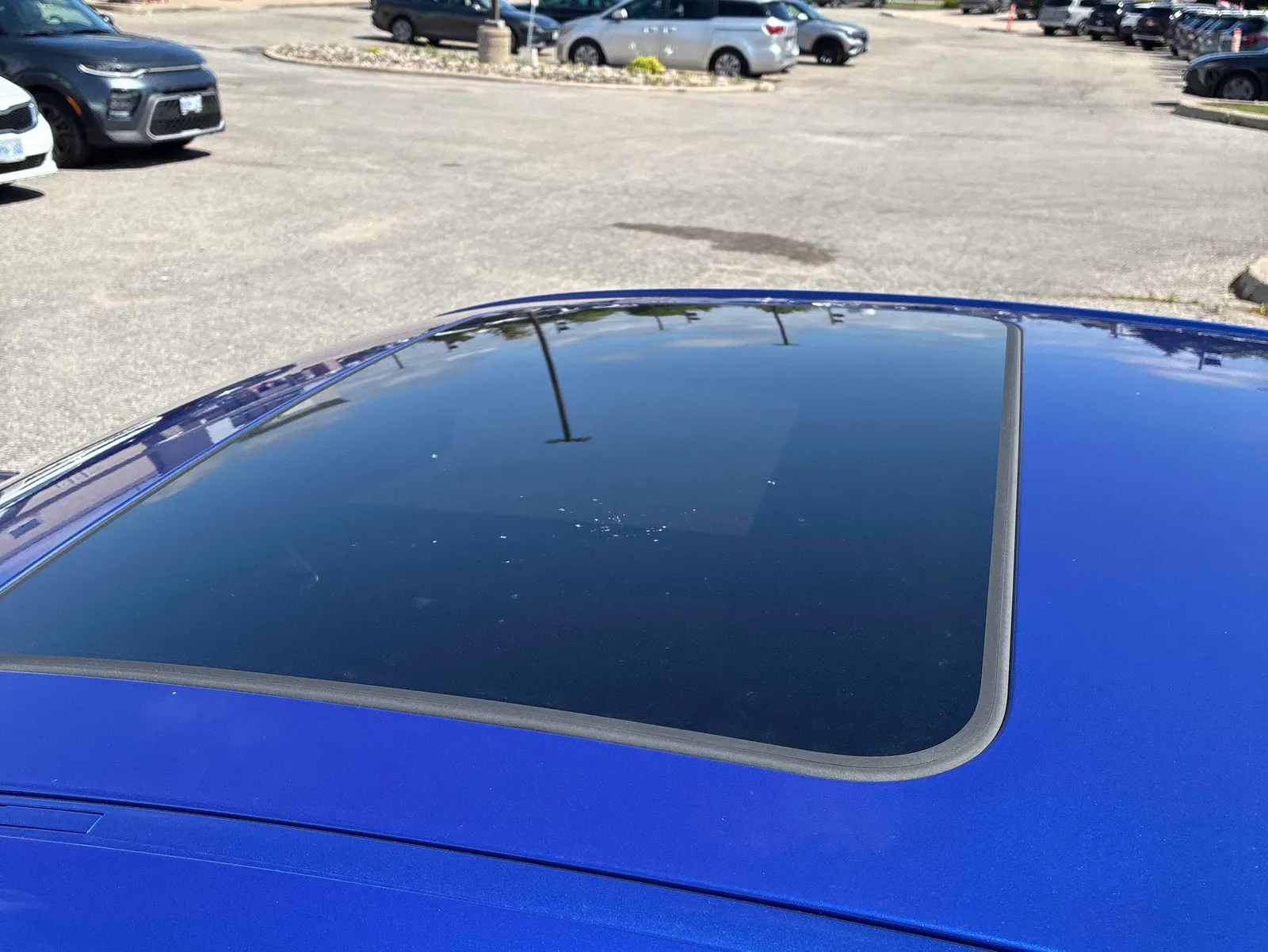 Additional Photo