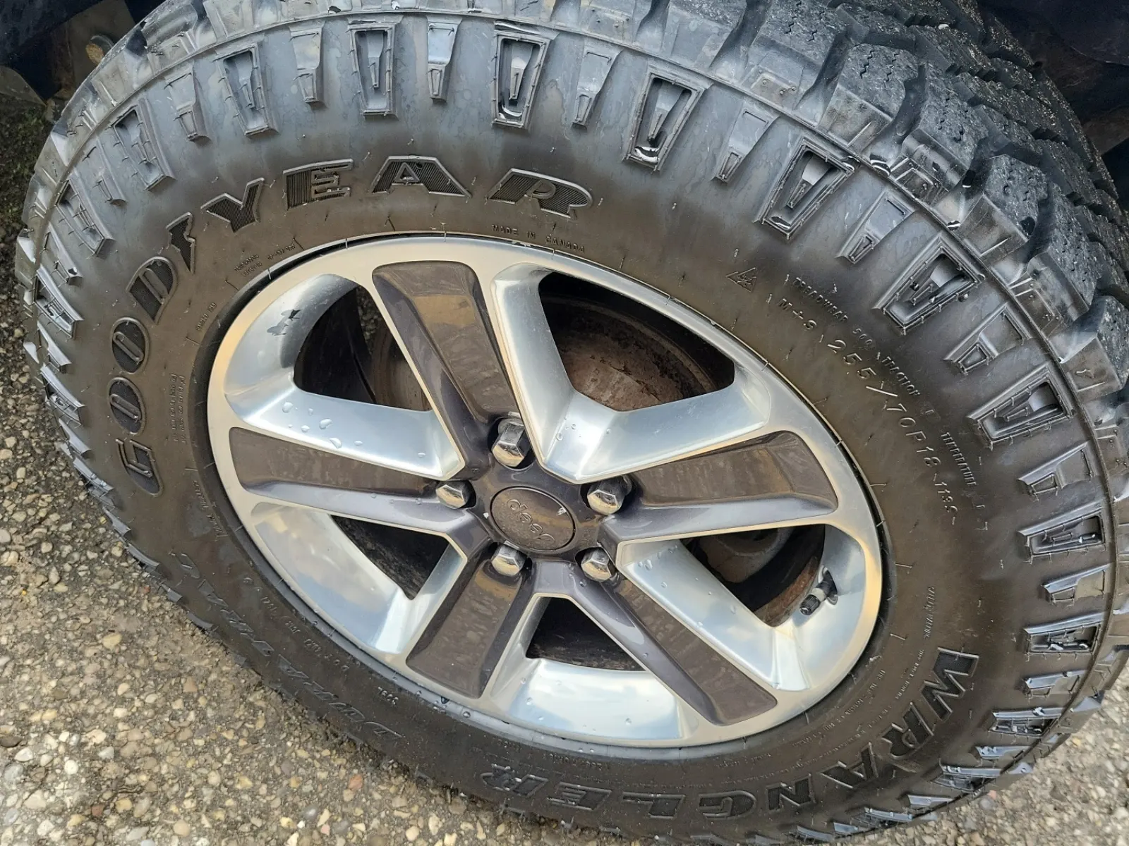 Left Rear Wheel/Tire Photo