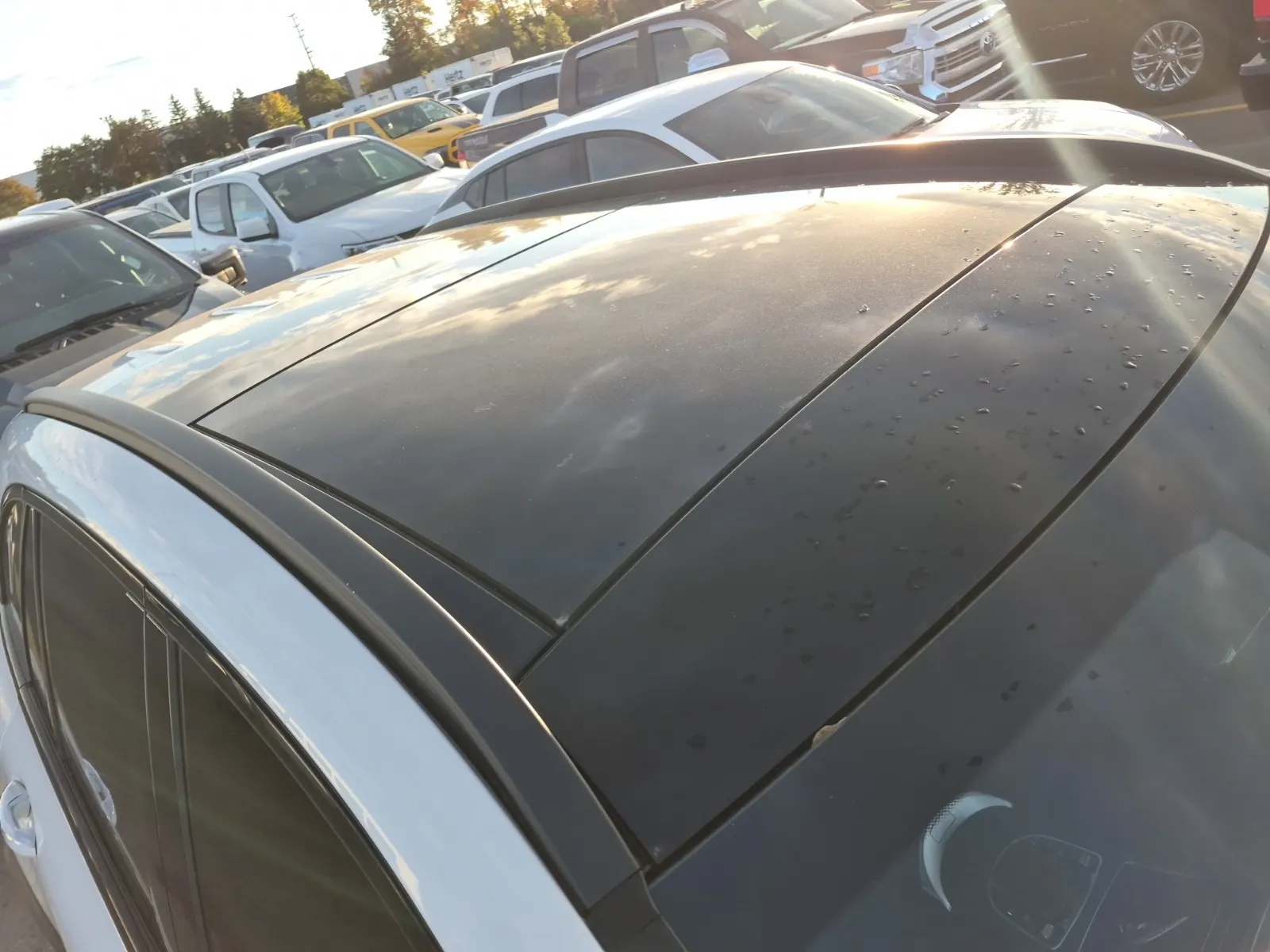 Exterior Roof Photo