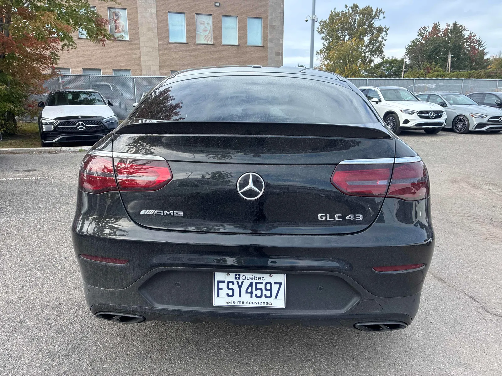 Back