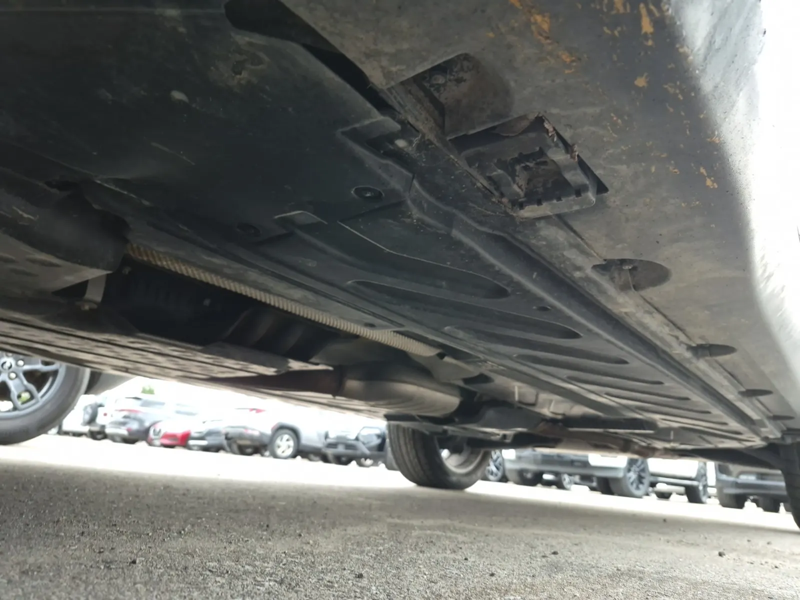 Undercarriage - Driver Photo