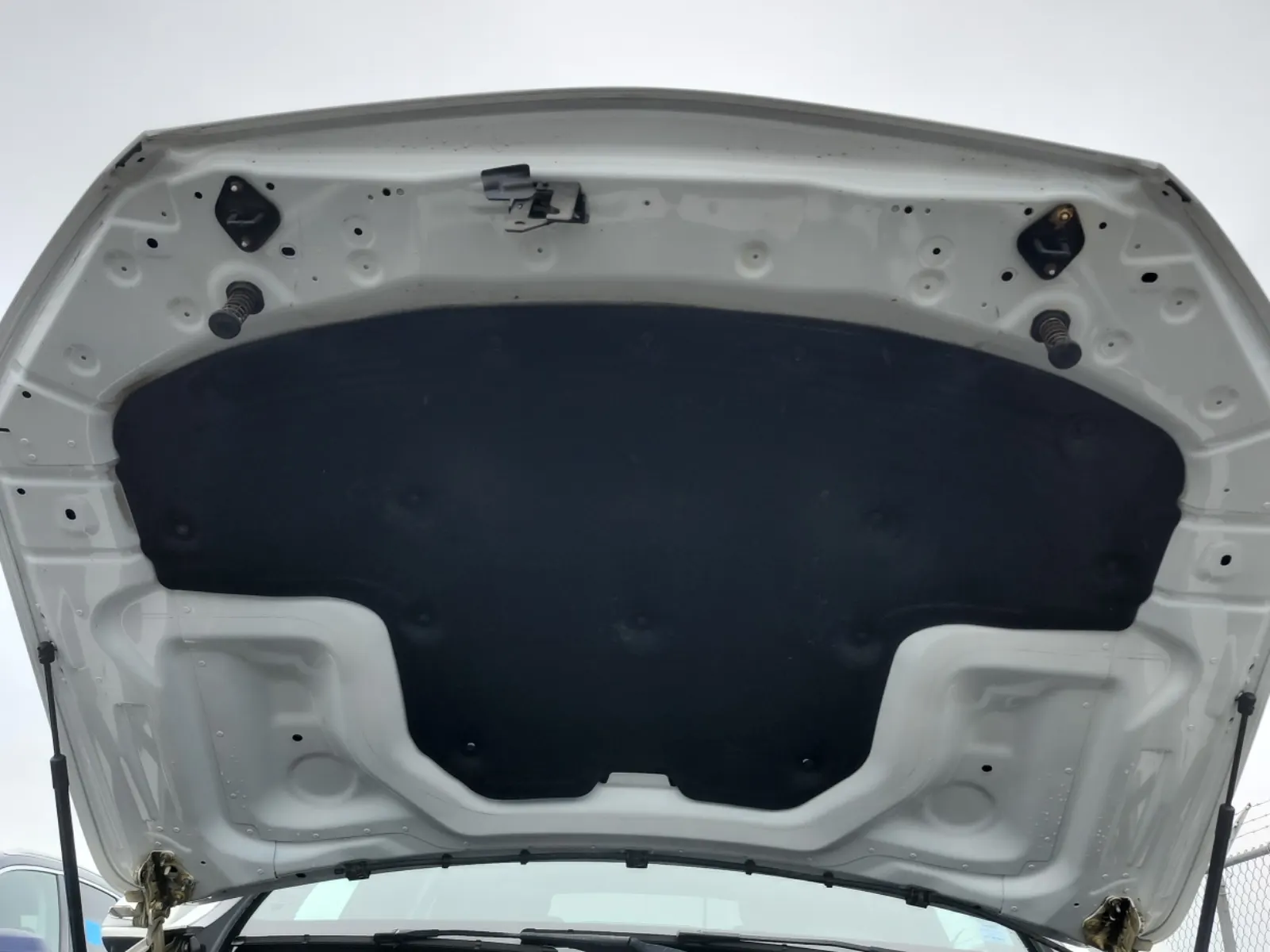 Emission Sticker Photo
