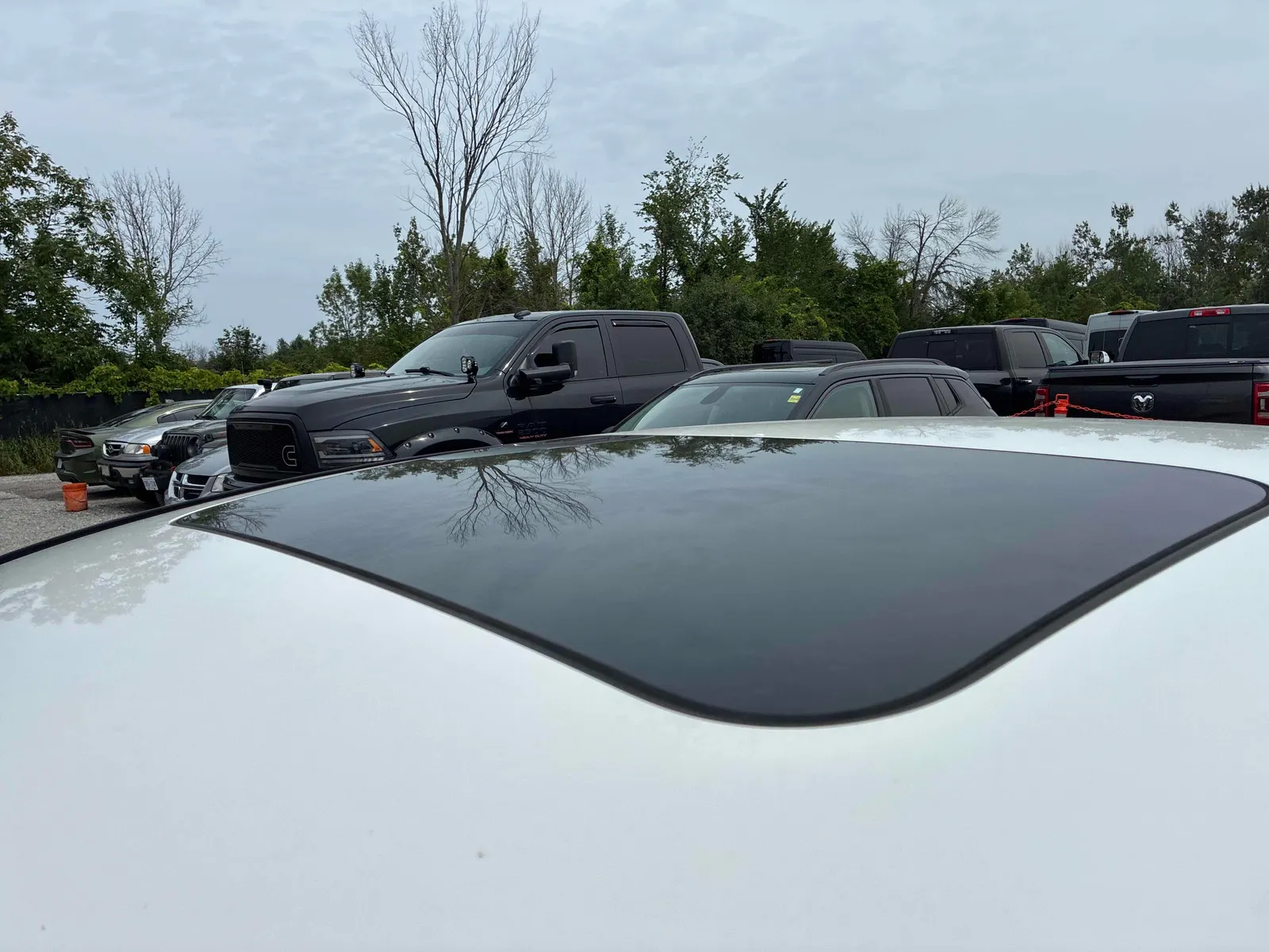 Additional Photo