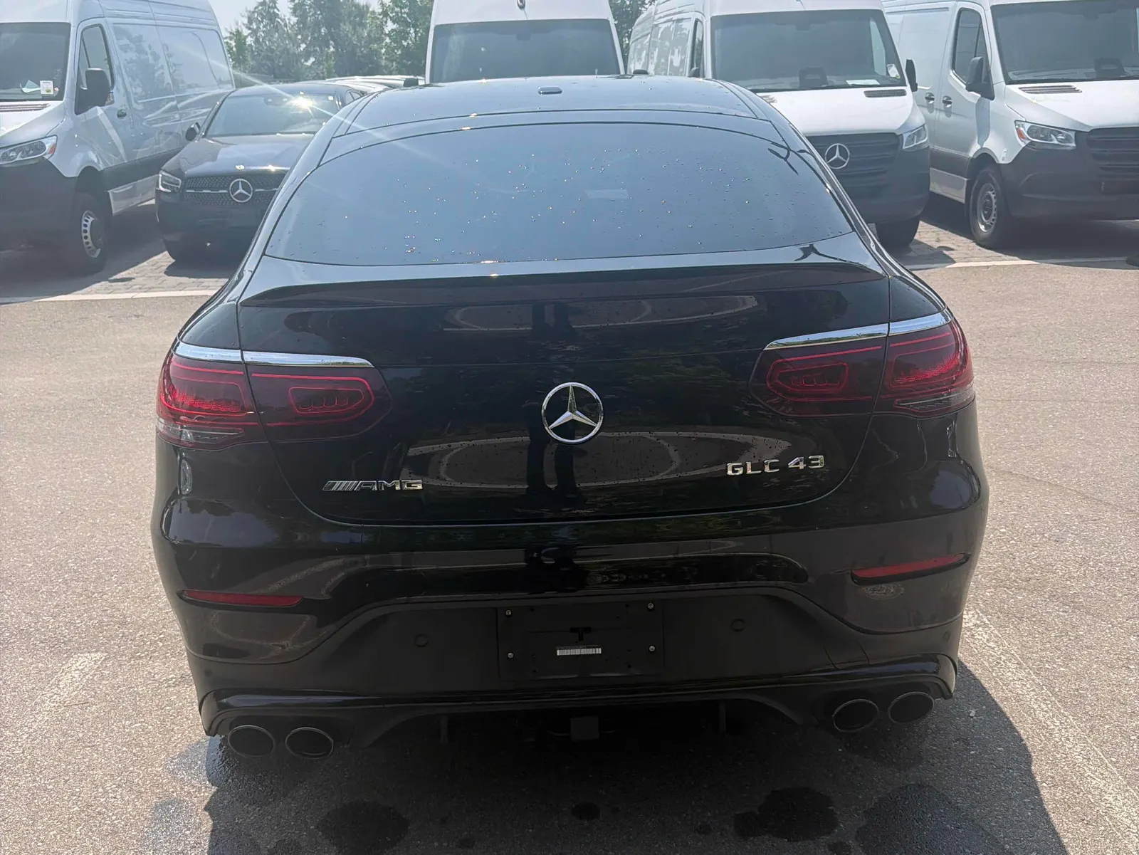 Back
