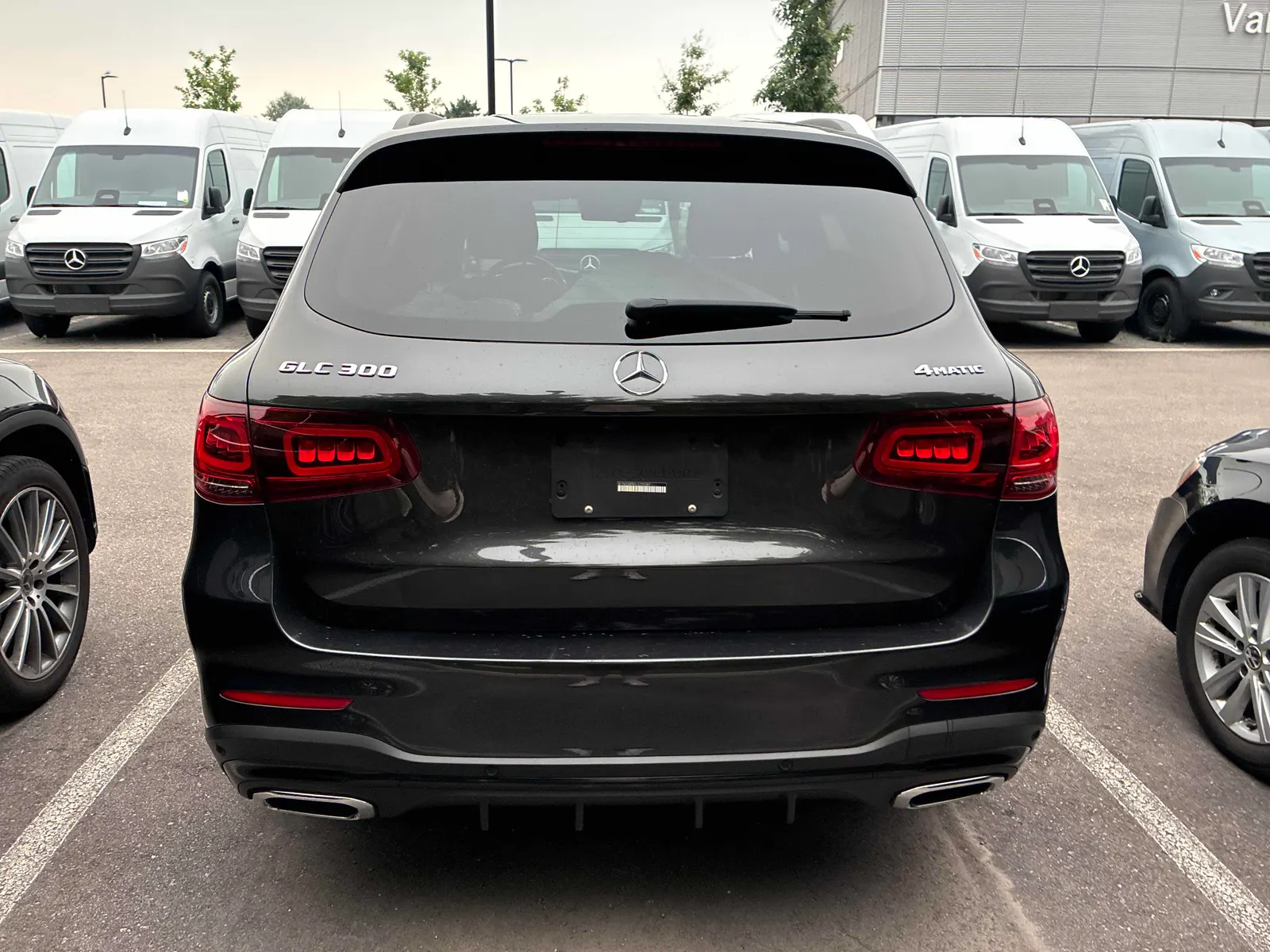 Back
