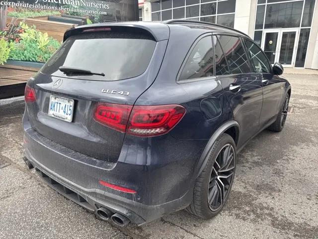 Back