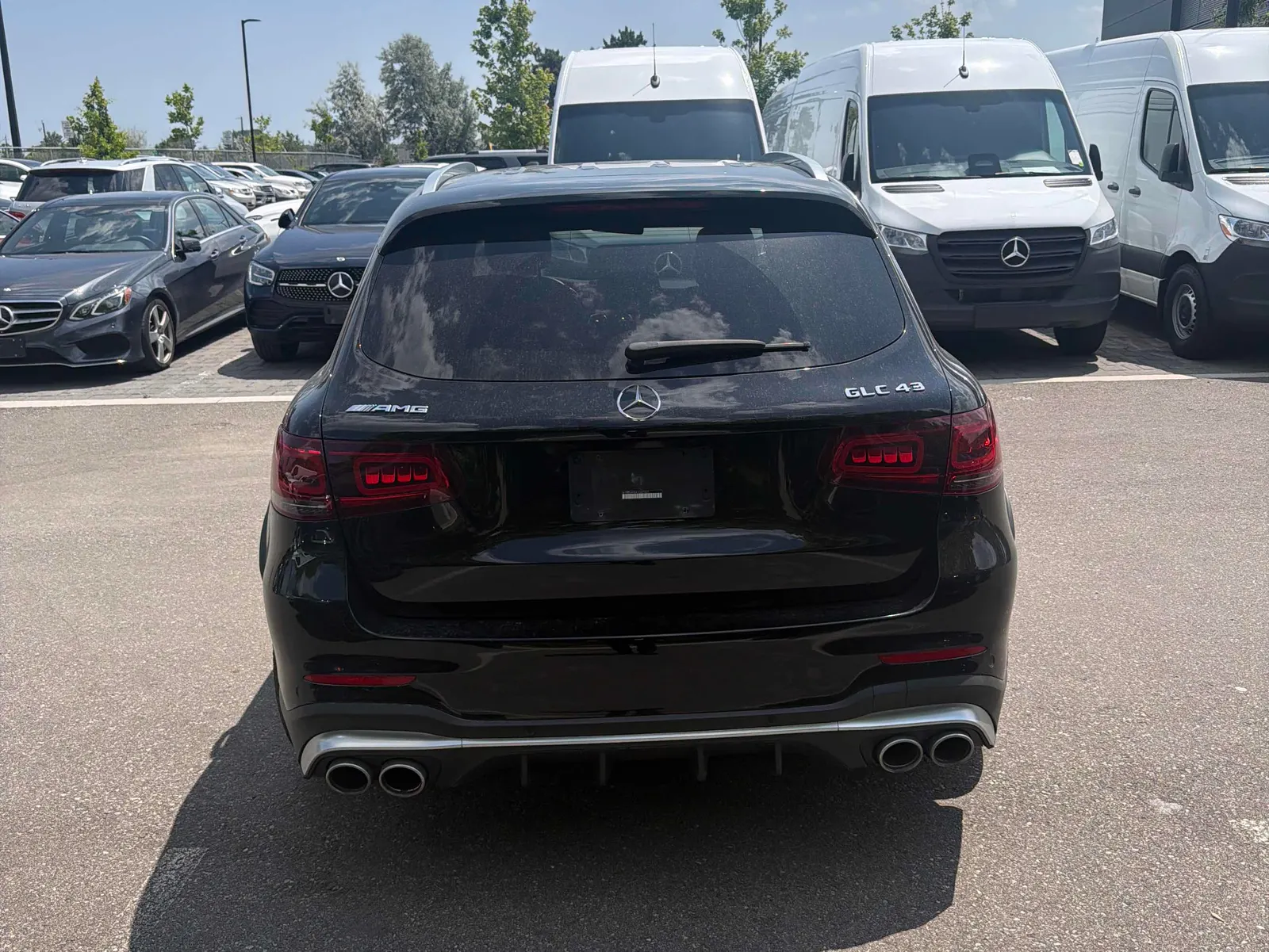 Back