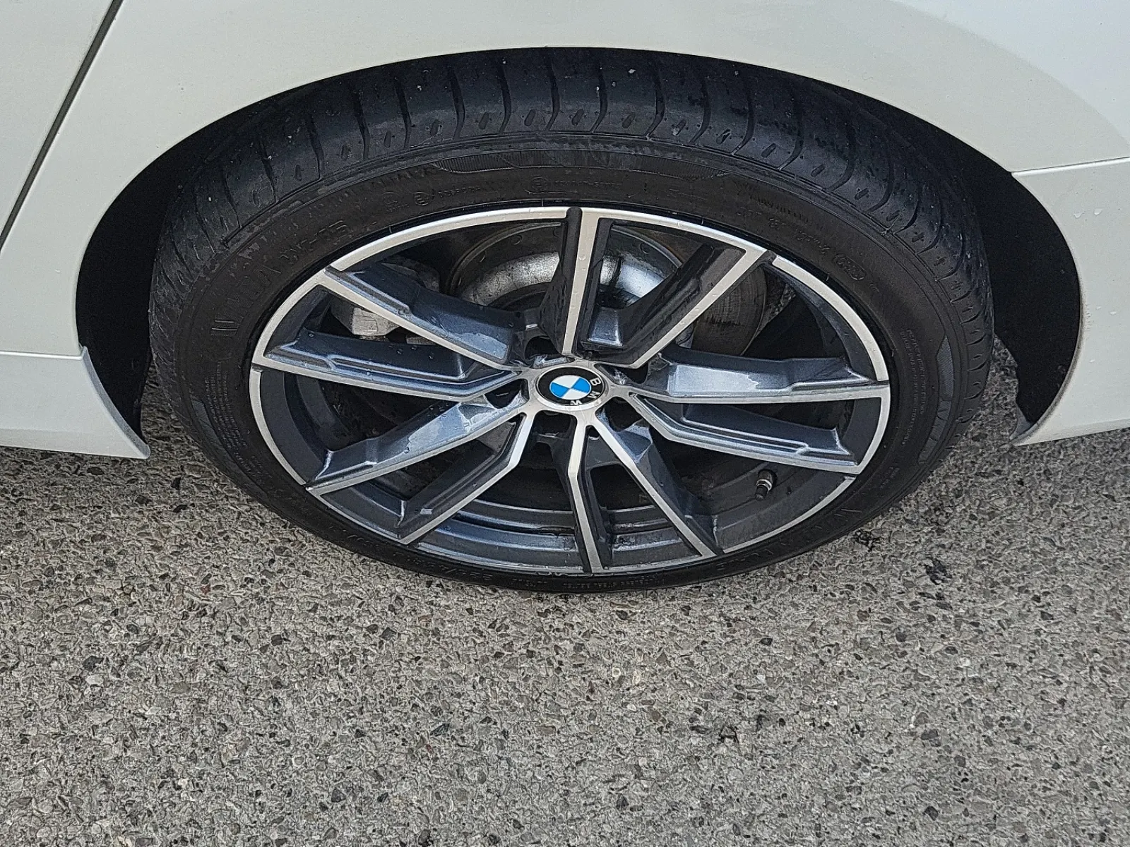 Left Rear Wheel/Tire Photo