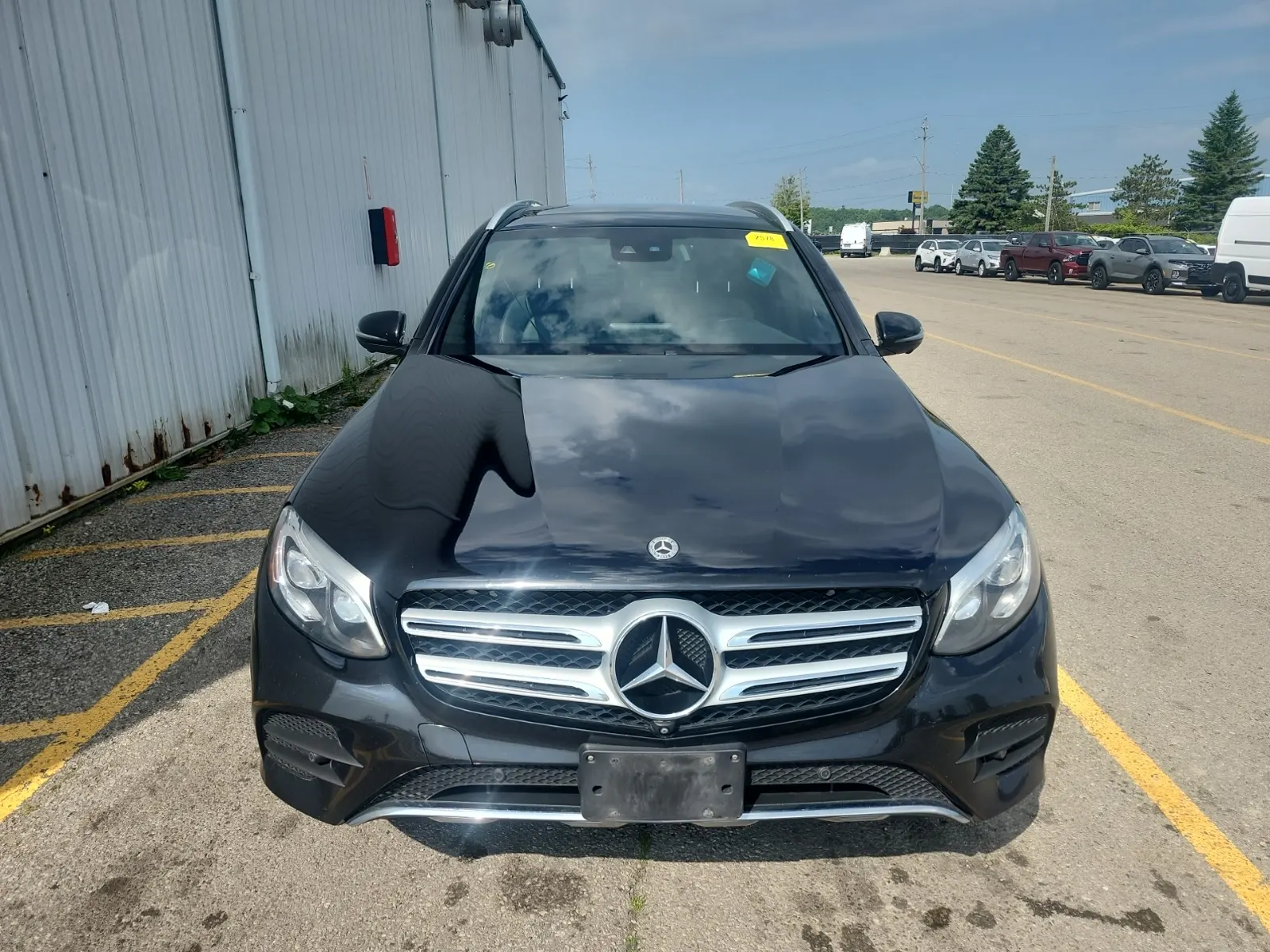 Full Front Photo