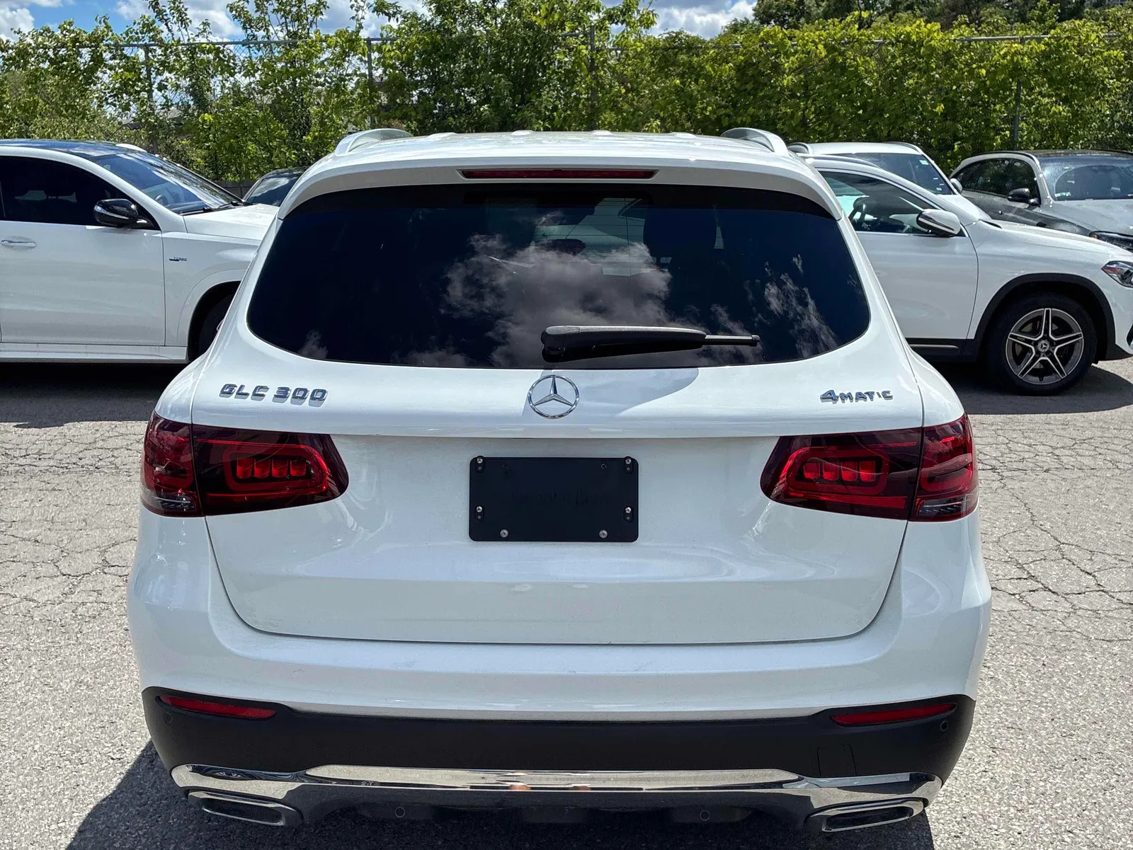 Back
