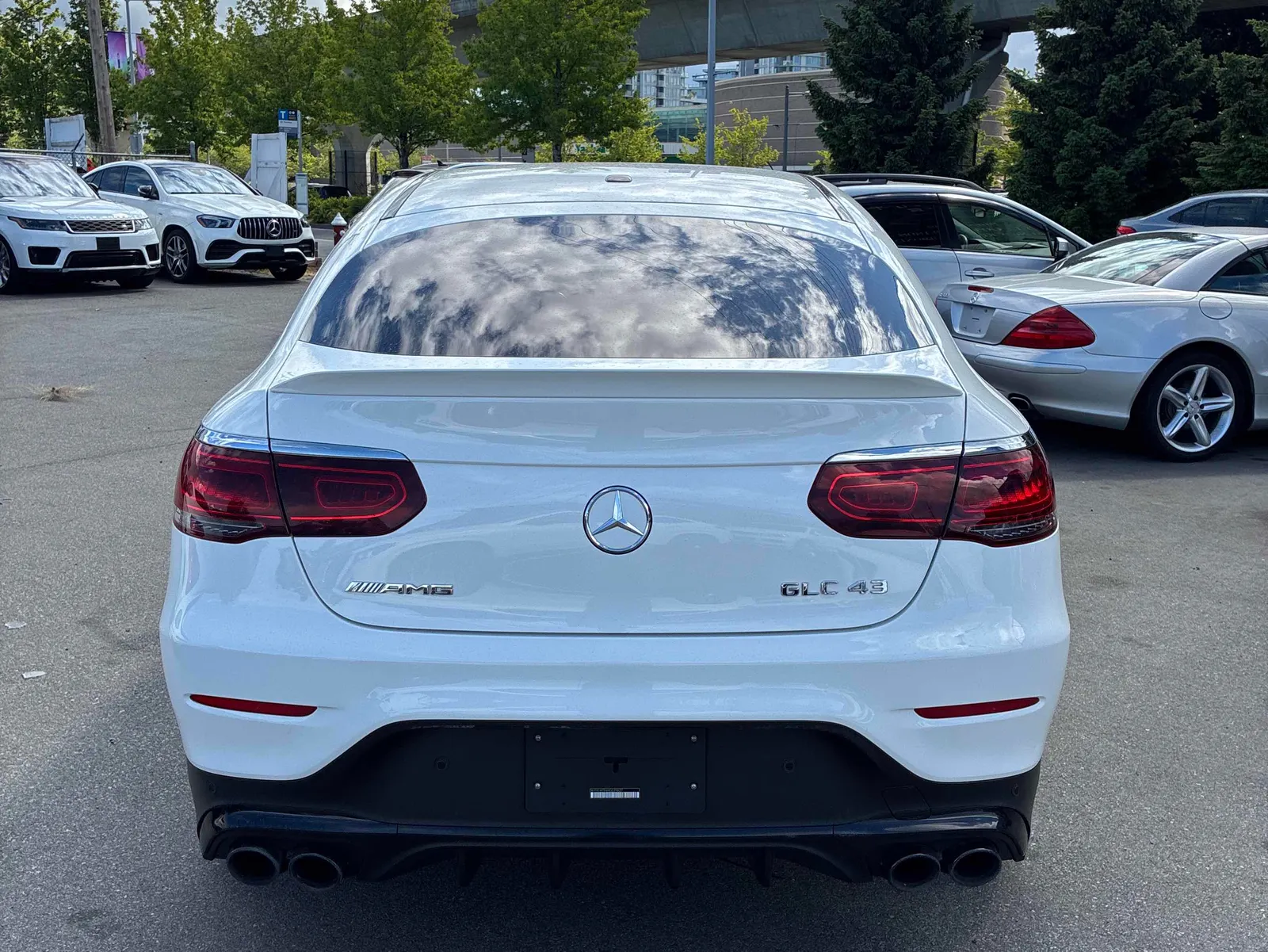 Back