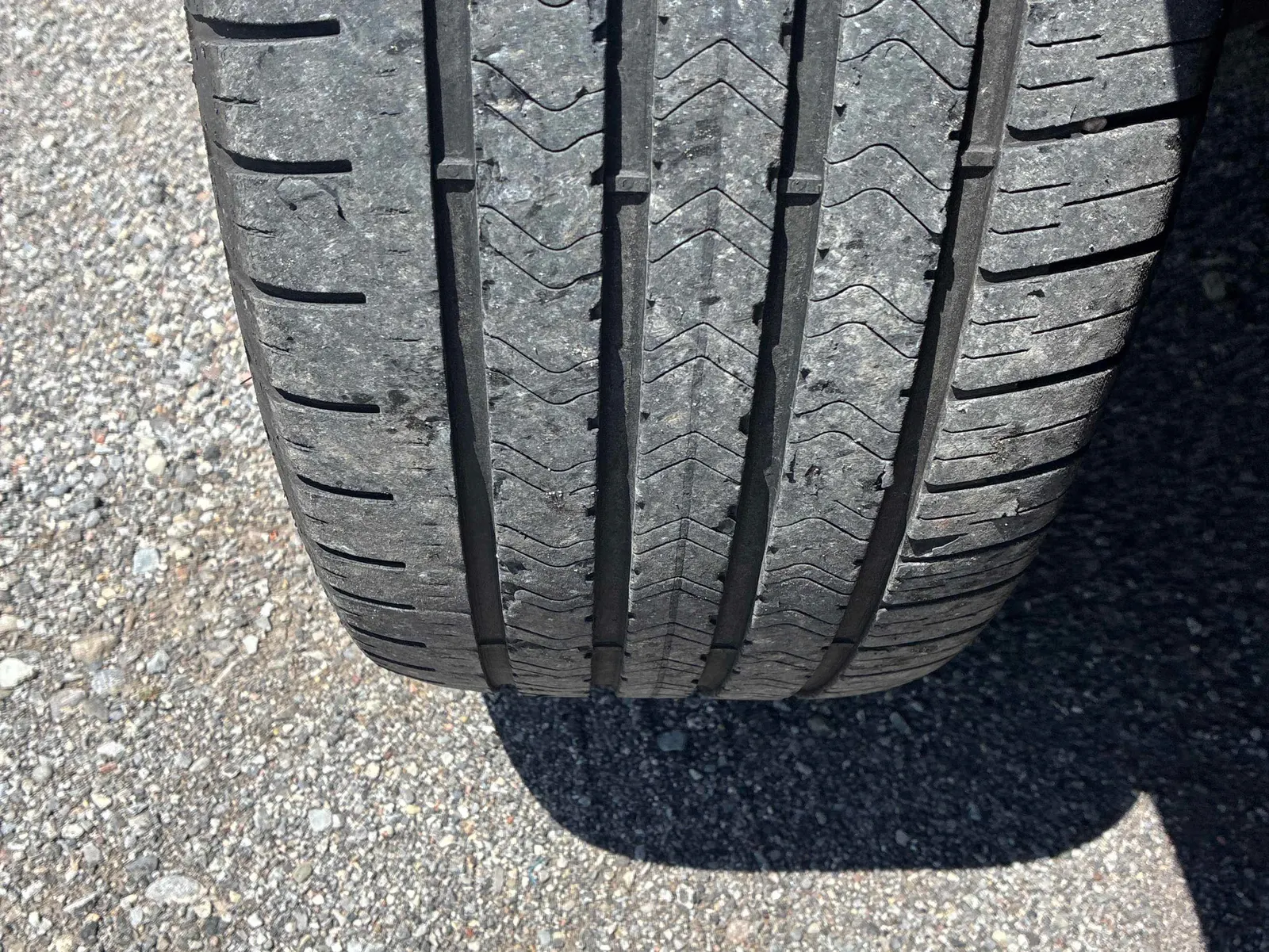 Additional Photo