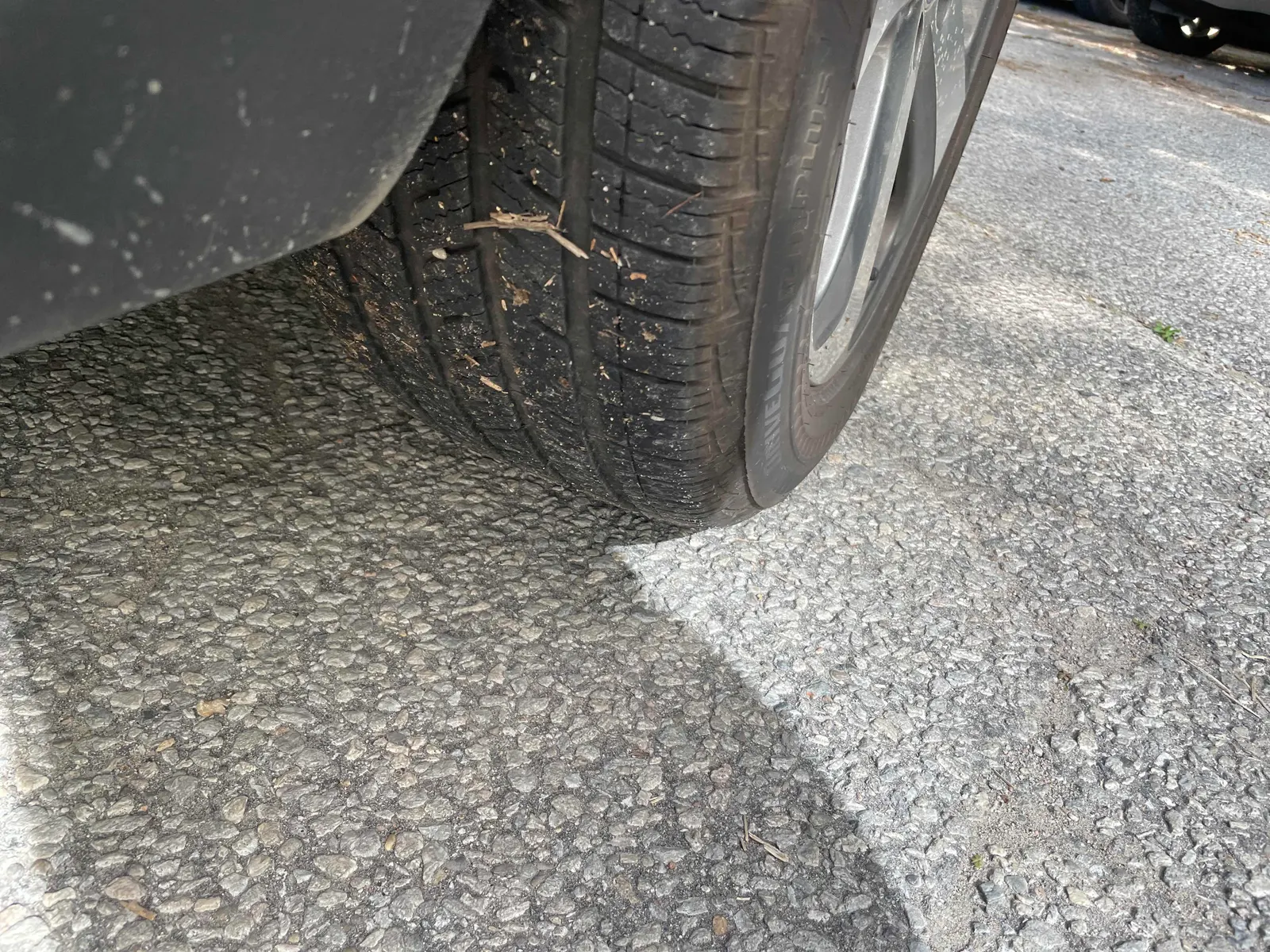 Additional Photo